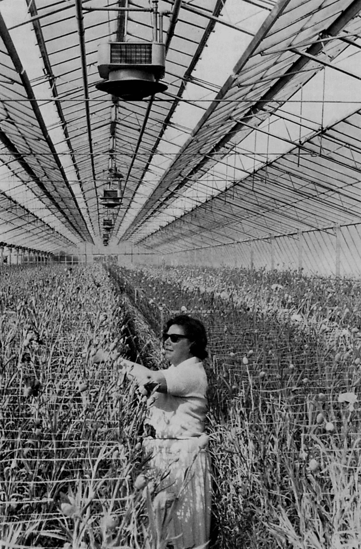 3_JB_1967_BB_Florispania_IMG_2255