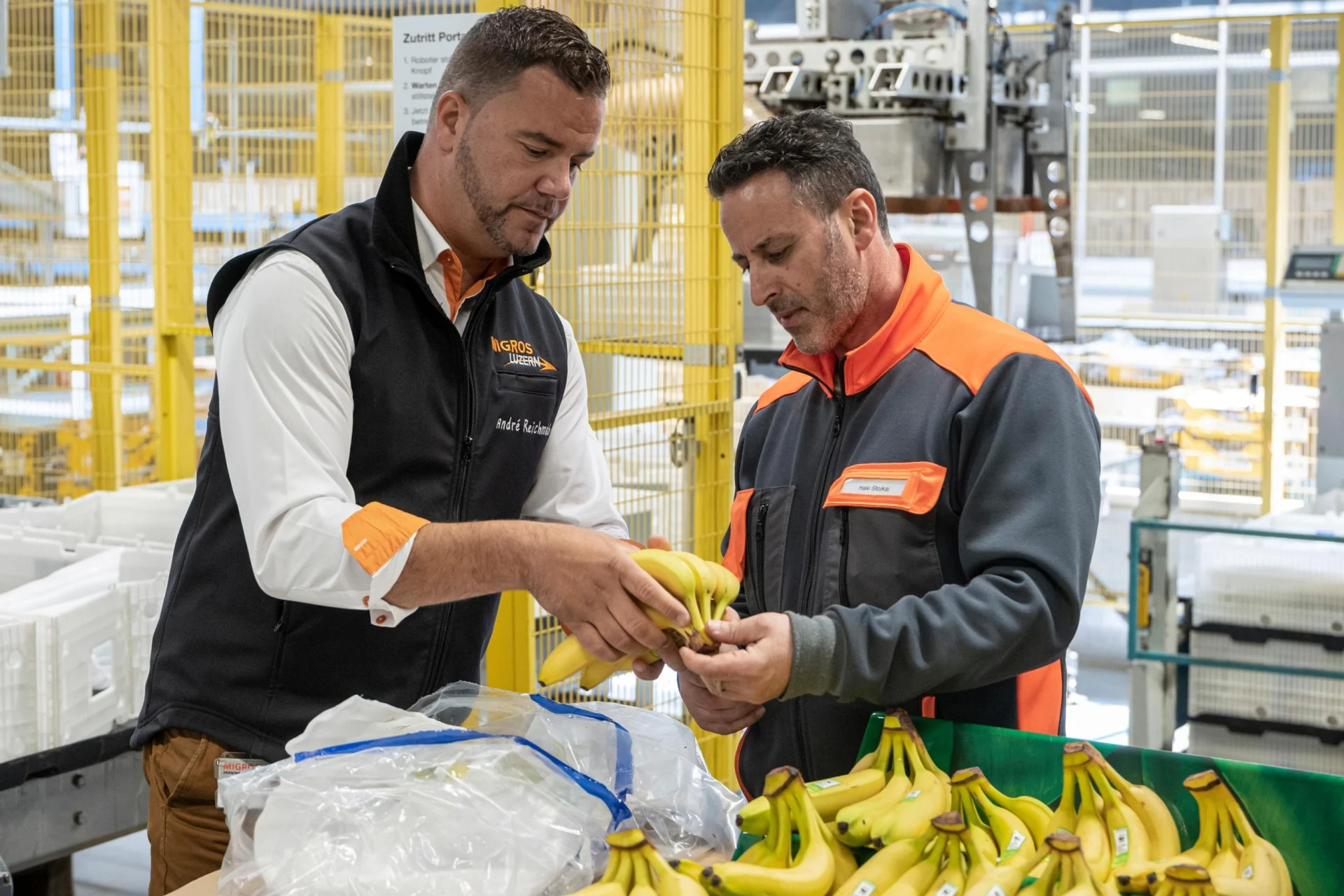 Two Migros employees check bananas in a processing hall.