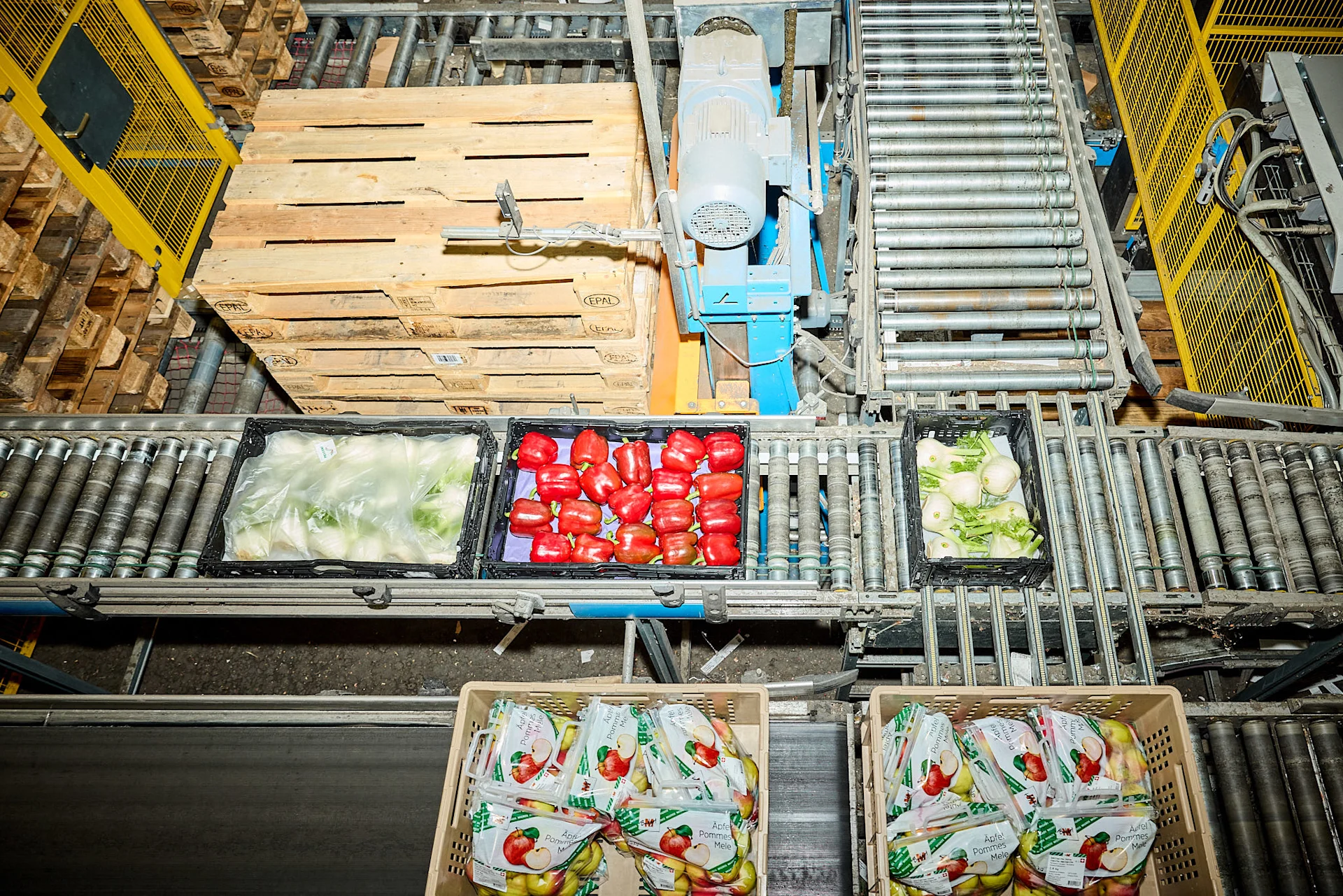 The systems sort vegetables and fruit on a fully automated basis. The systems sort vegetables and fruit on a fully automated basis.