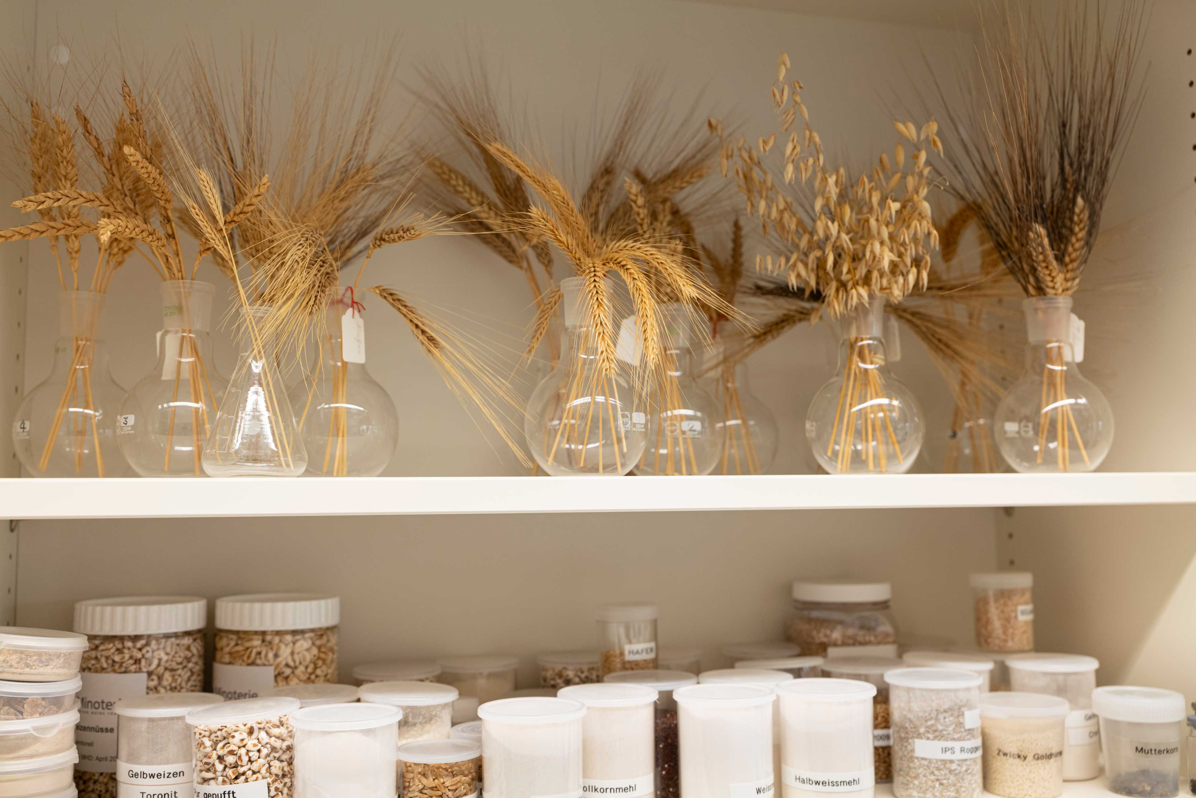 Dans le présentoir sont exposées ­différentes sortes de céréales, grains et farines