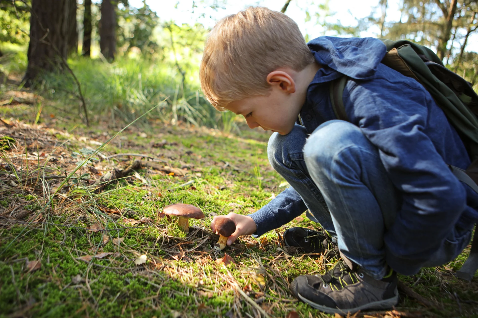 A blond boy picks a mushroom