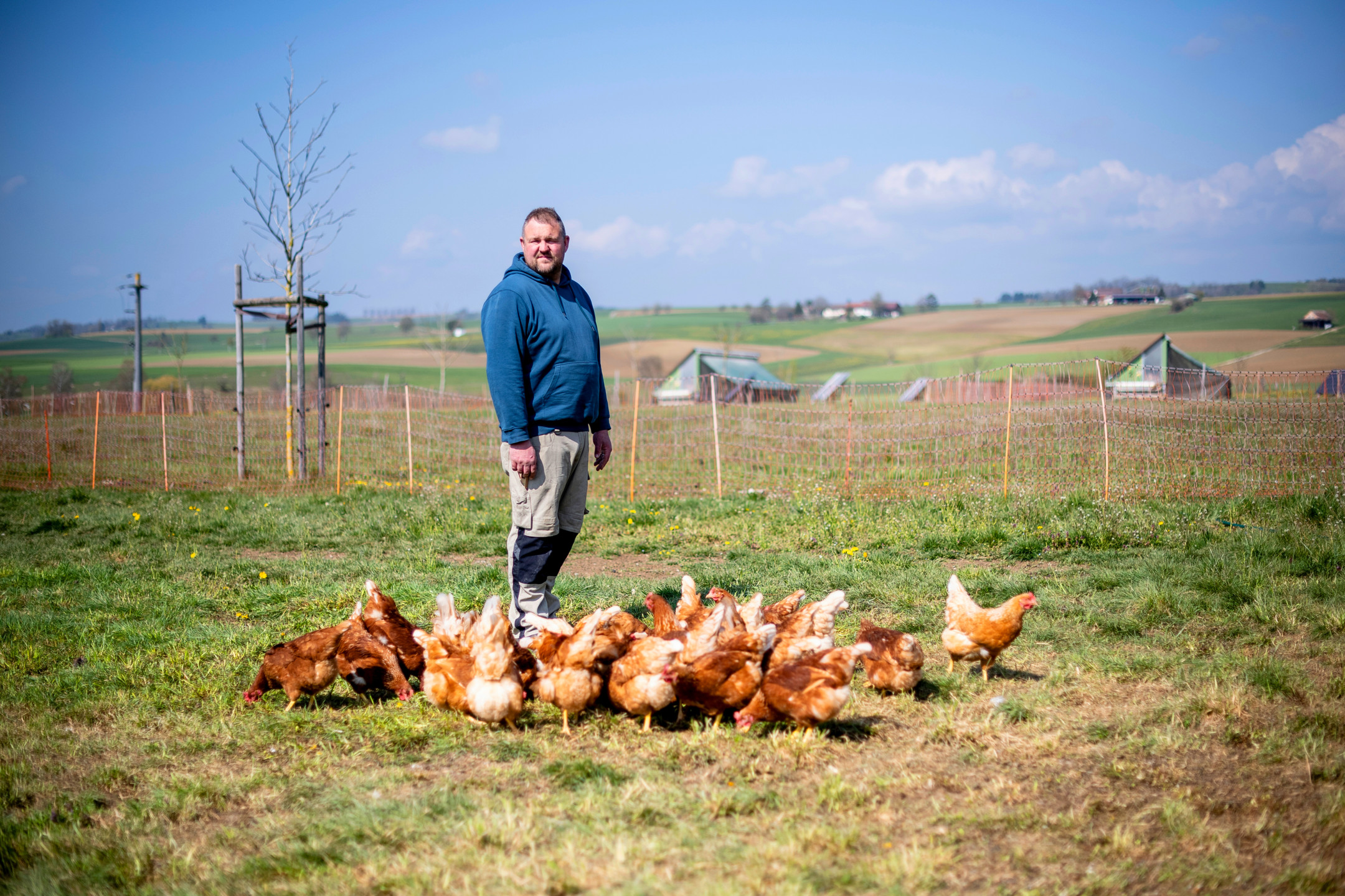 A farmer stands in the meadow surrounded by chickens