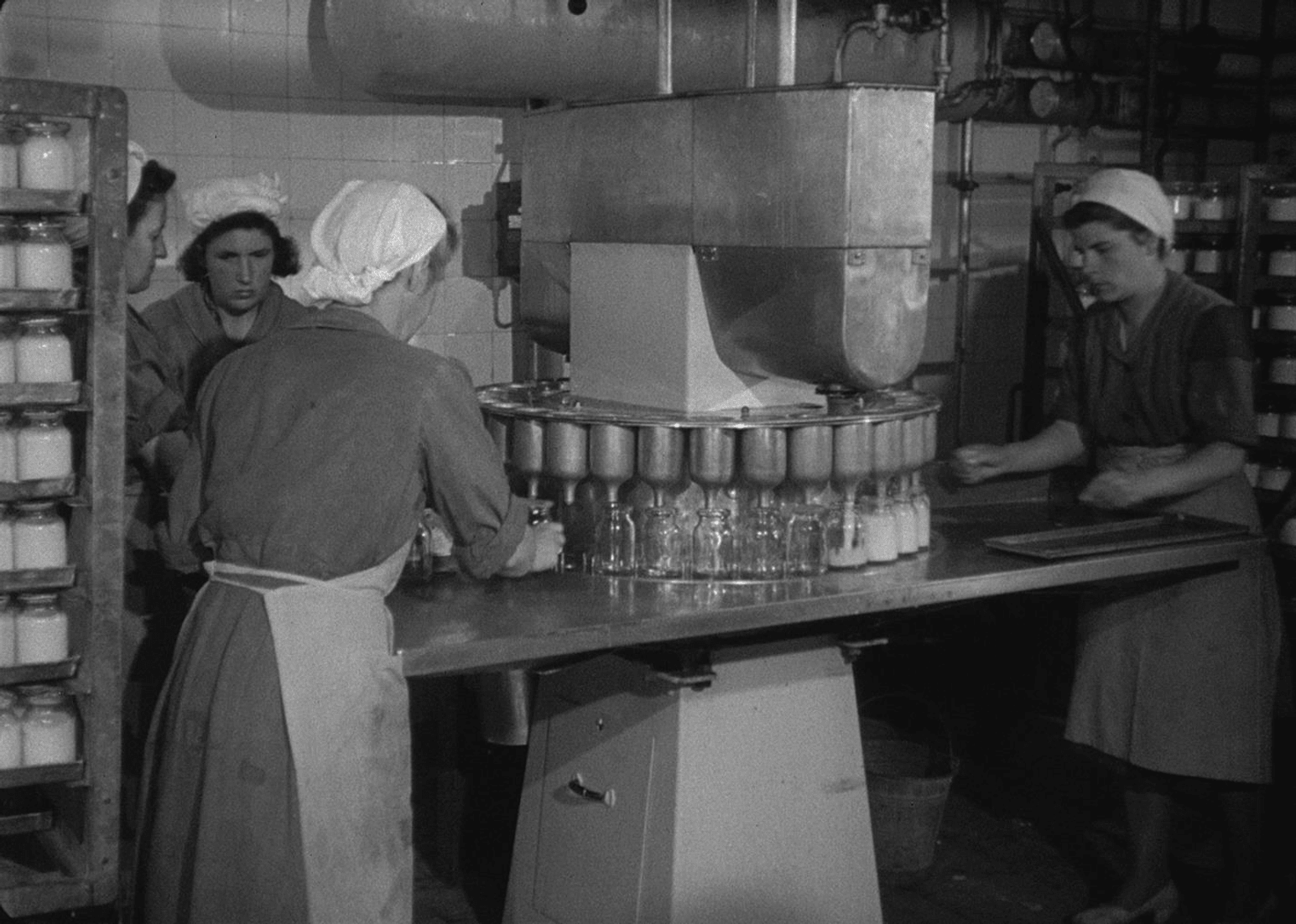 4_still_joghurt_1949