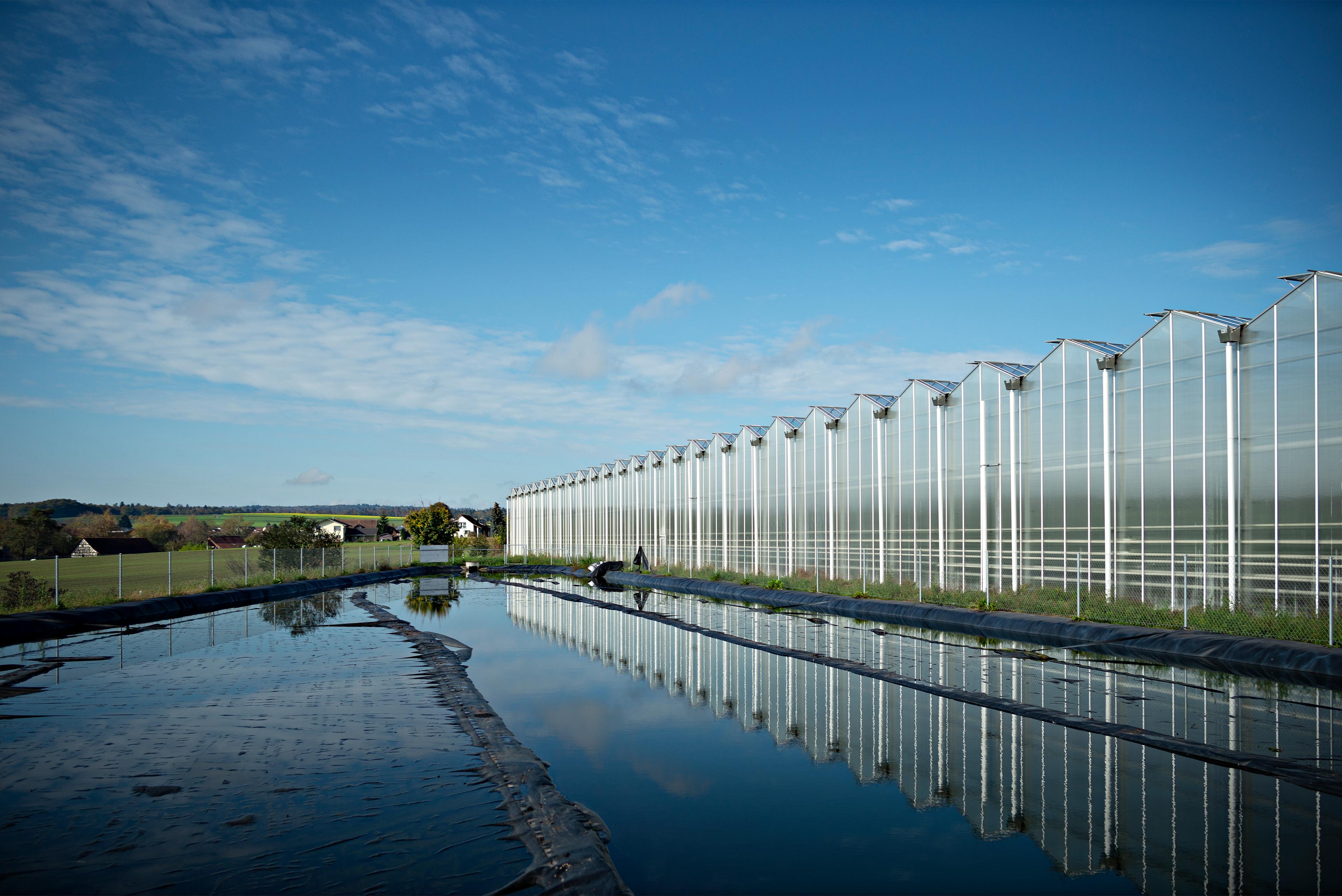 Eau pour l'irrigation d'une serre