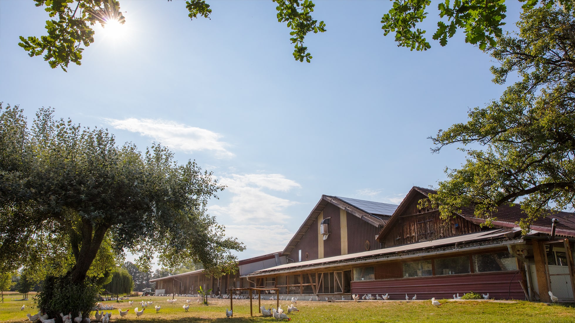 Spitzenreiterin beim Tierwohl