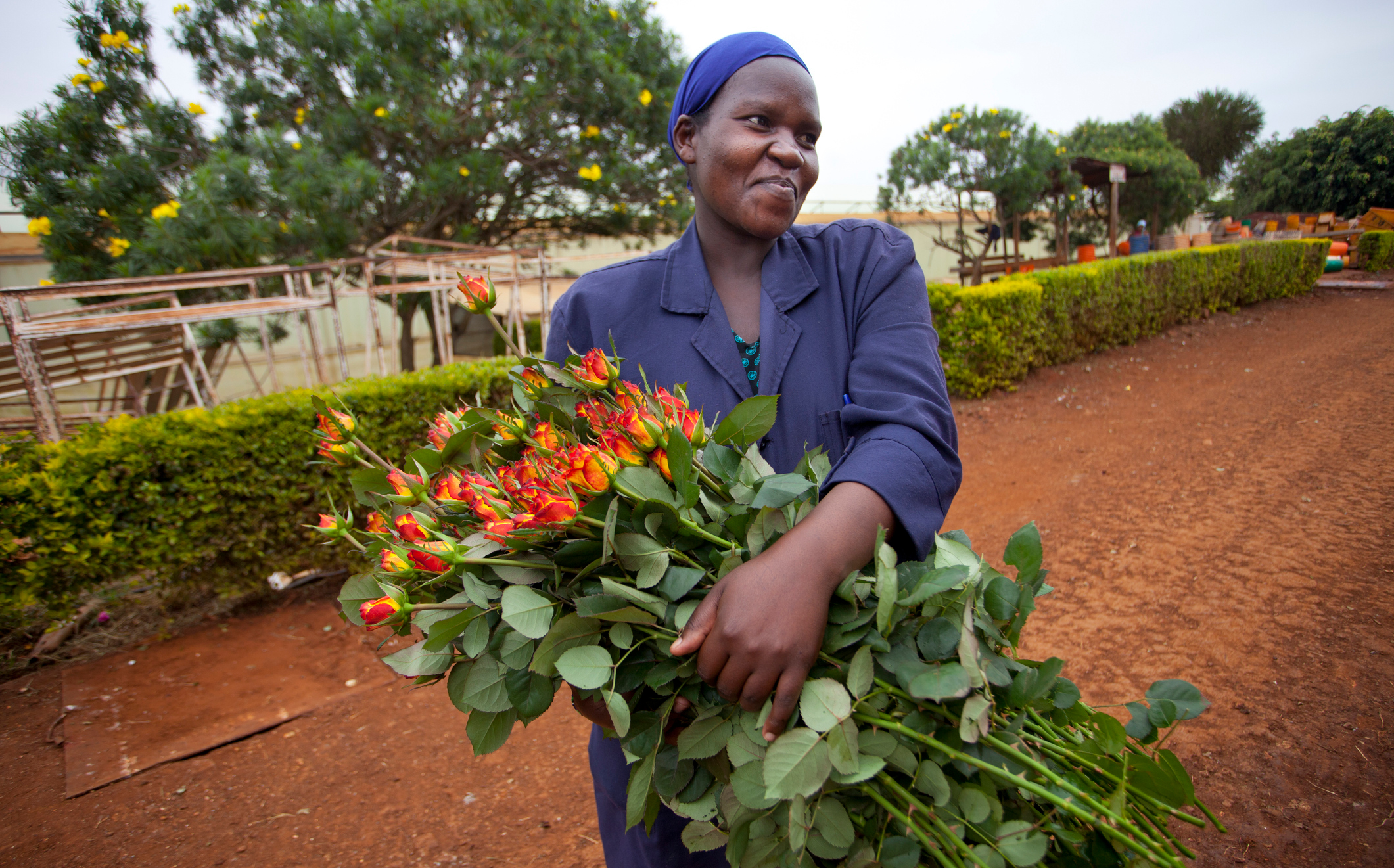 Eine Frau hält einen Bund Rosen im Arm.