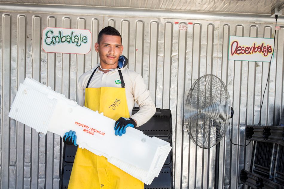 Banaloli Farm Ecuador