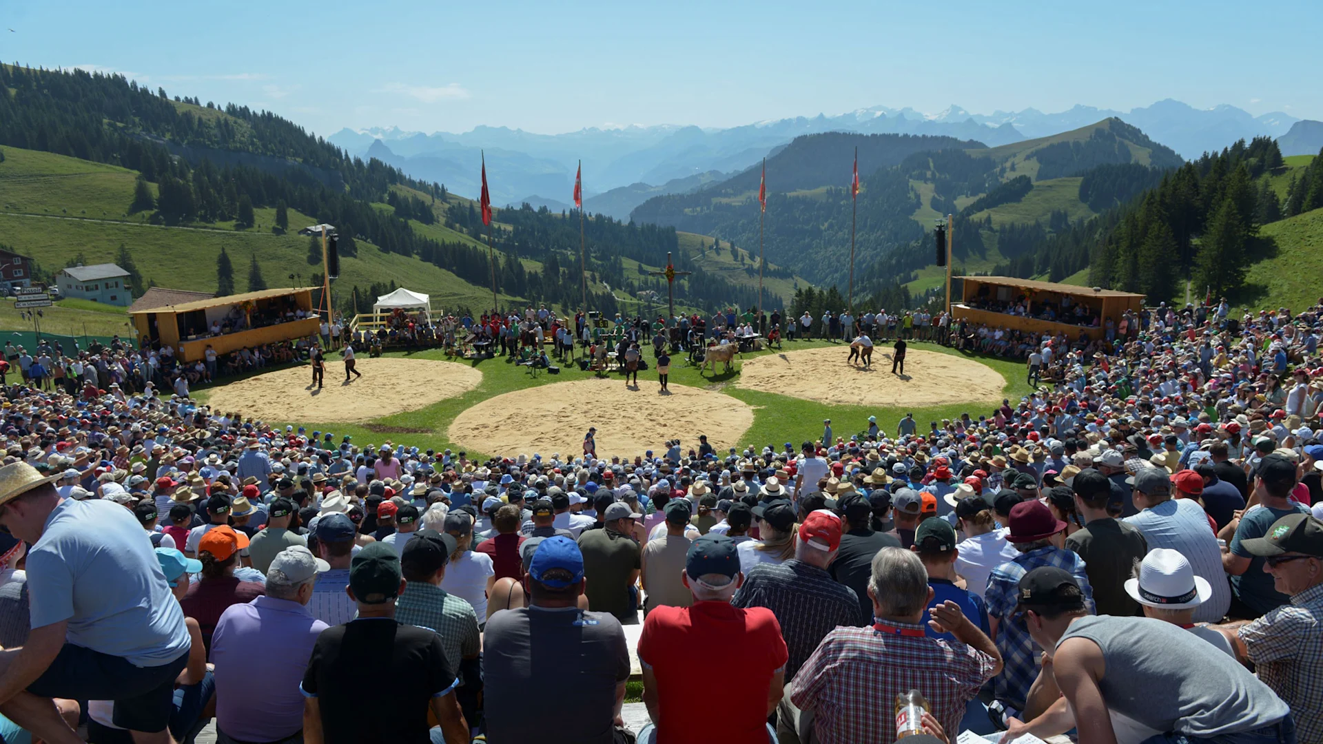 Sponsoring der Genossenschaft Migros Luzern