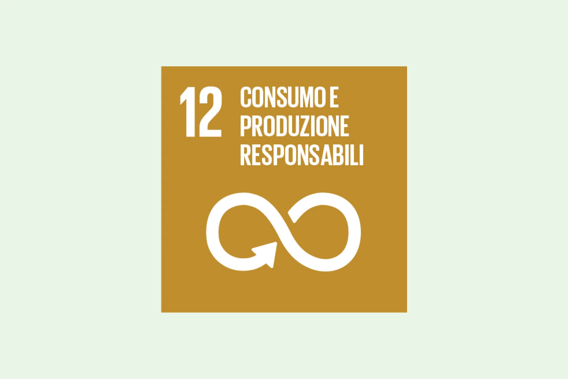 Infografica SDG 12