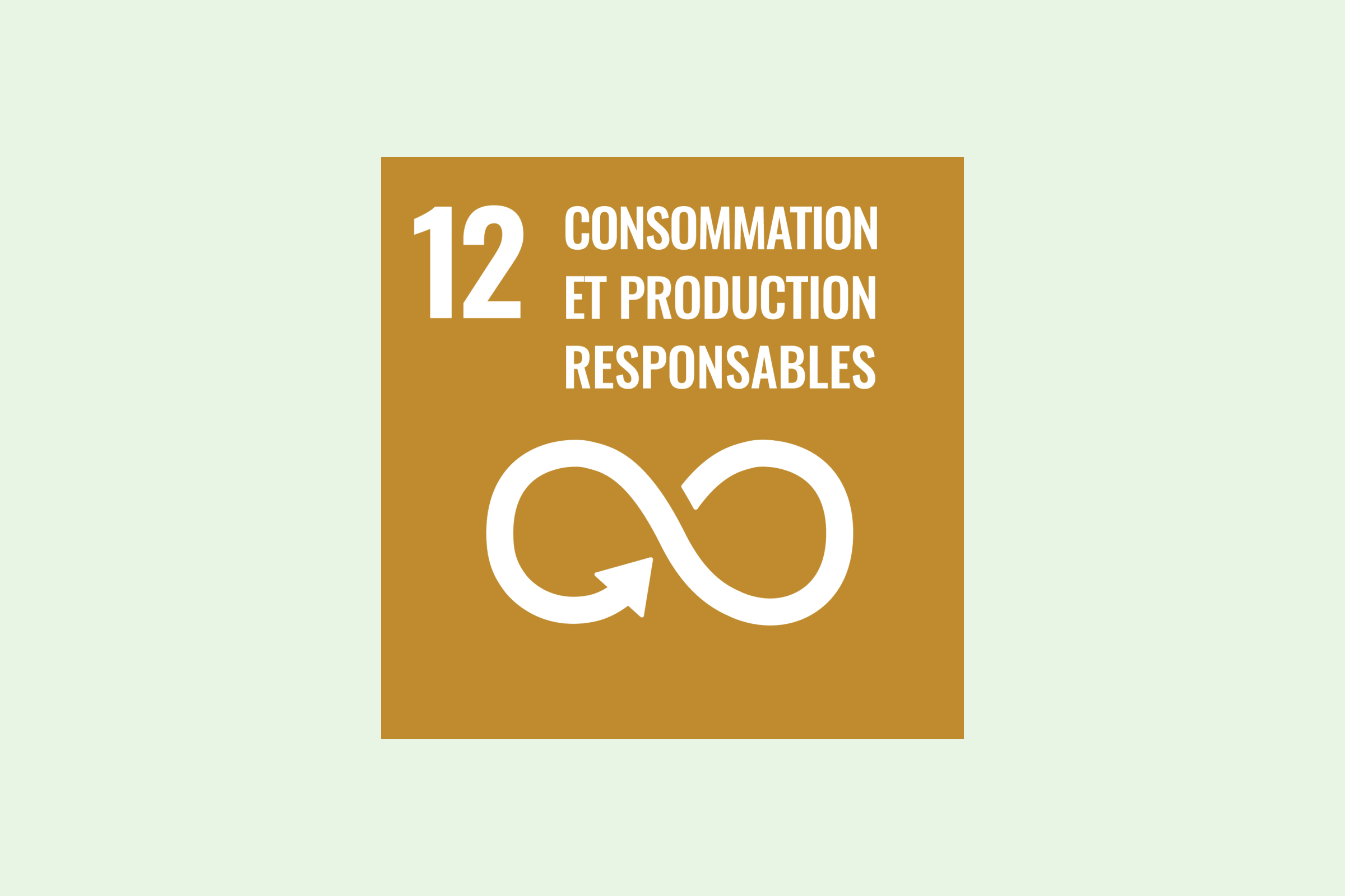 Infographie SDG 12