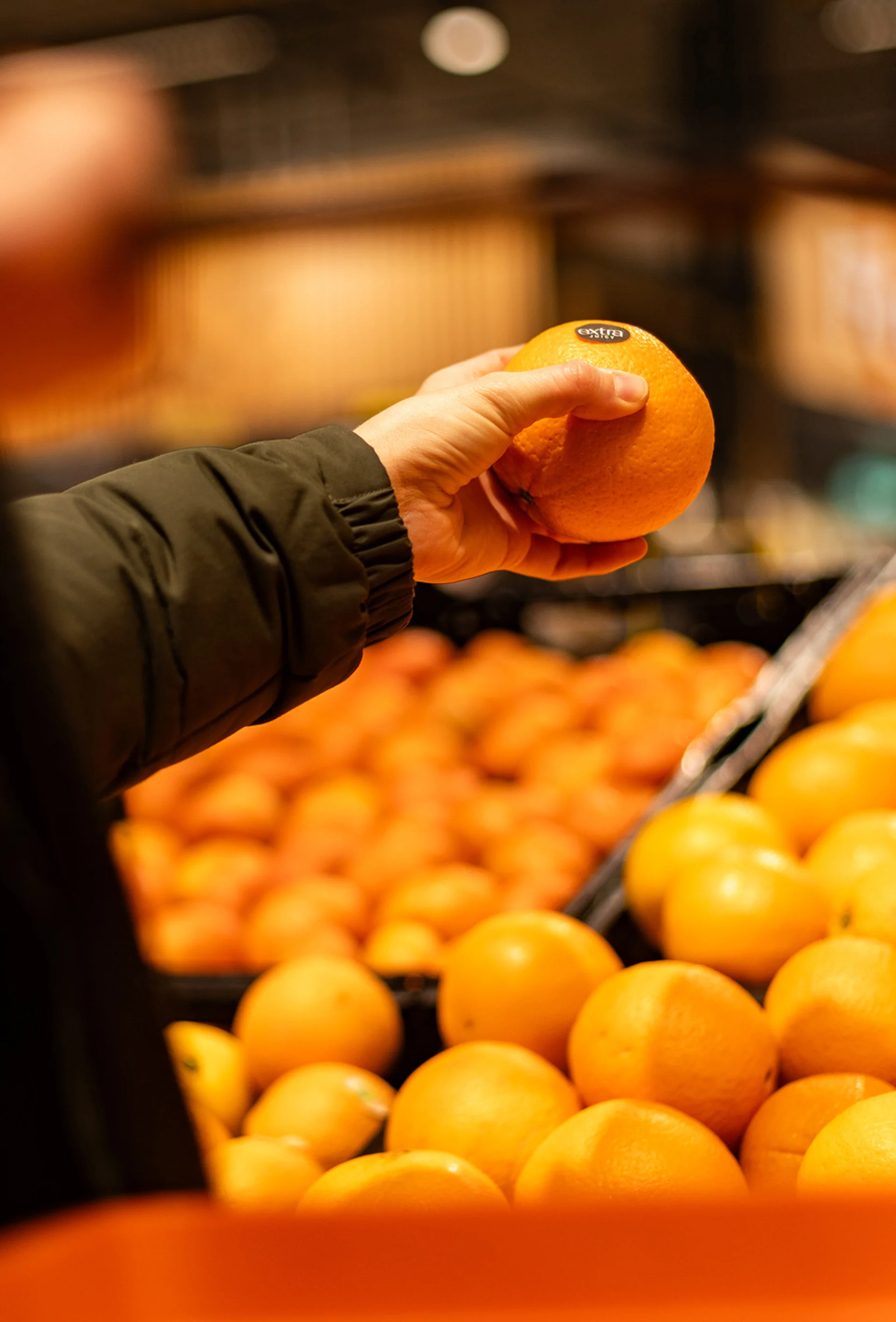 Gefüllter Warenkorb im Migros-Supermarkt