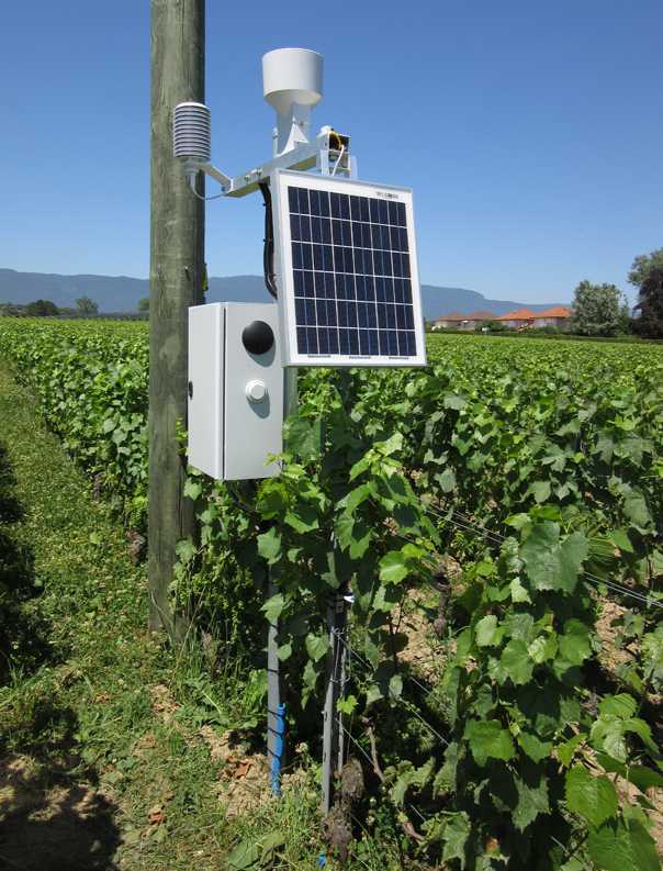 La station Agrometeo est placée à proximité immédiate du champ.
