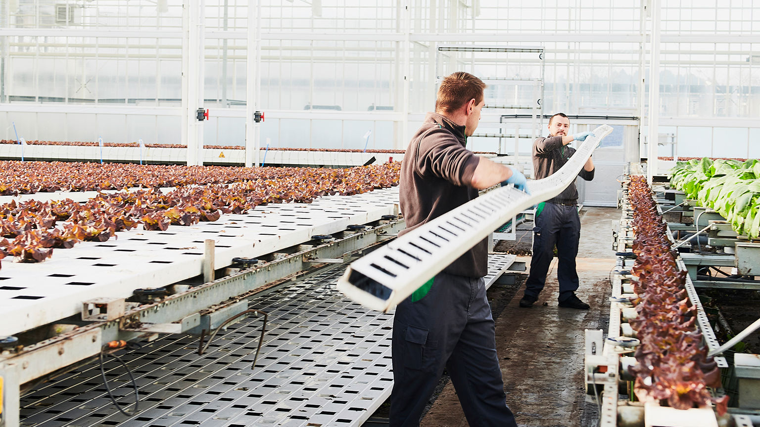 Two workers carry a gutter