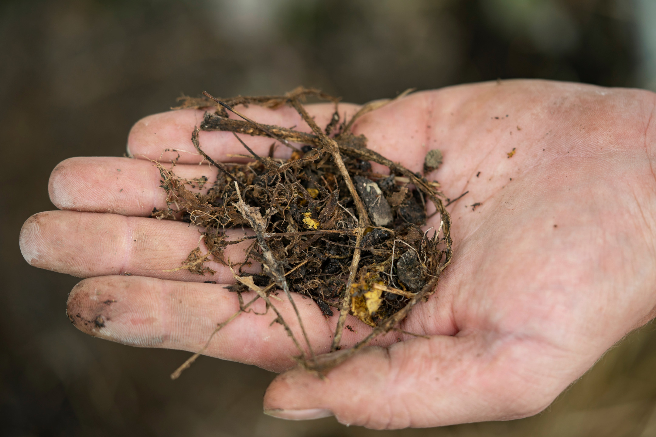  Une poignée de terre de serre