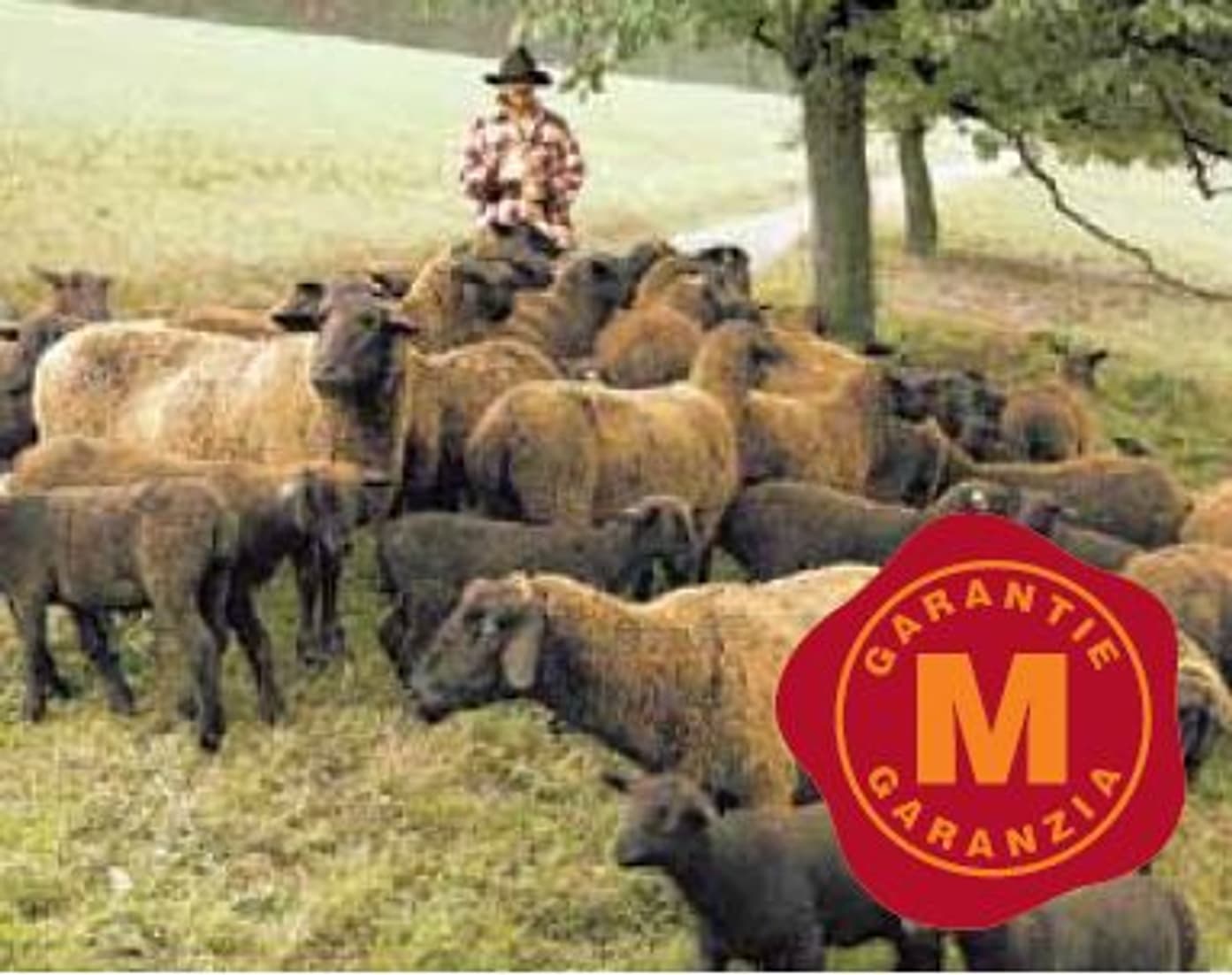 2000_Gütesiegel_Chronik