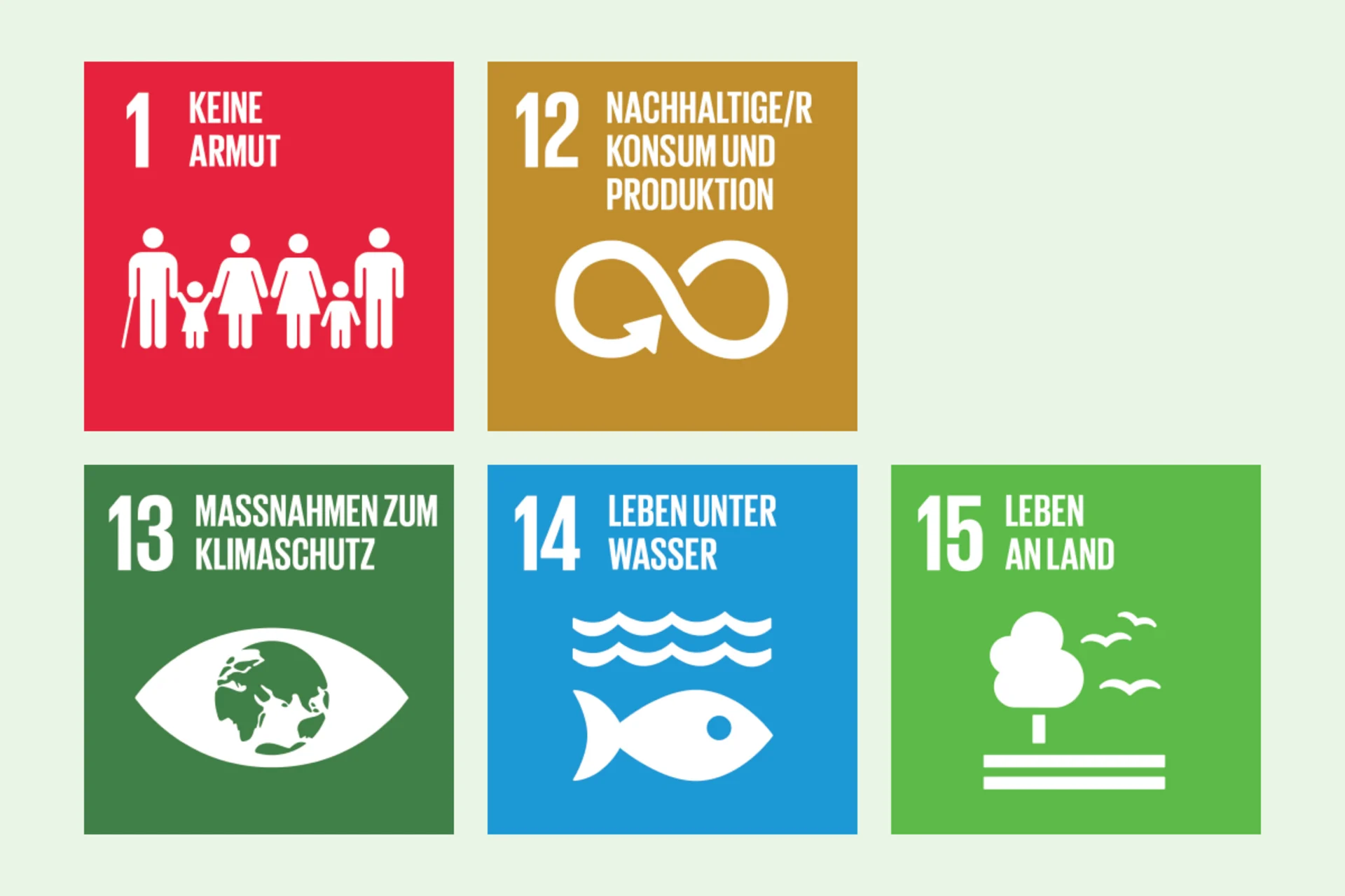 Grafik von SDG 1, 12, 13, 14 und 15.