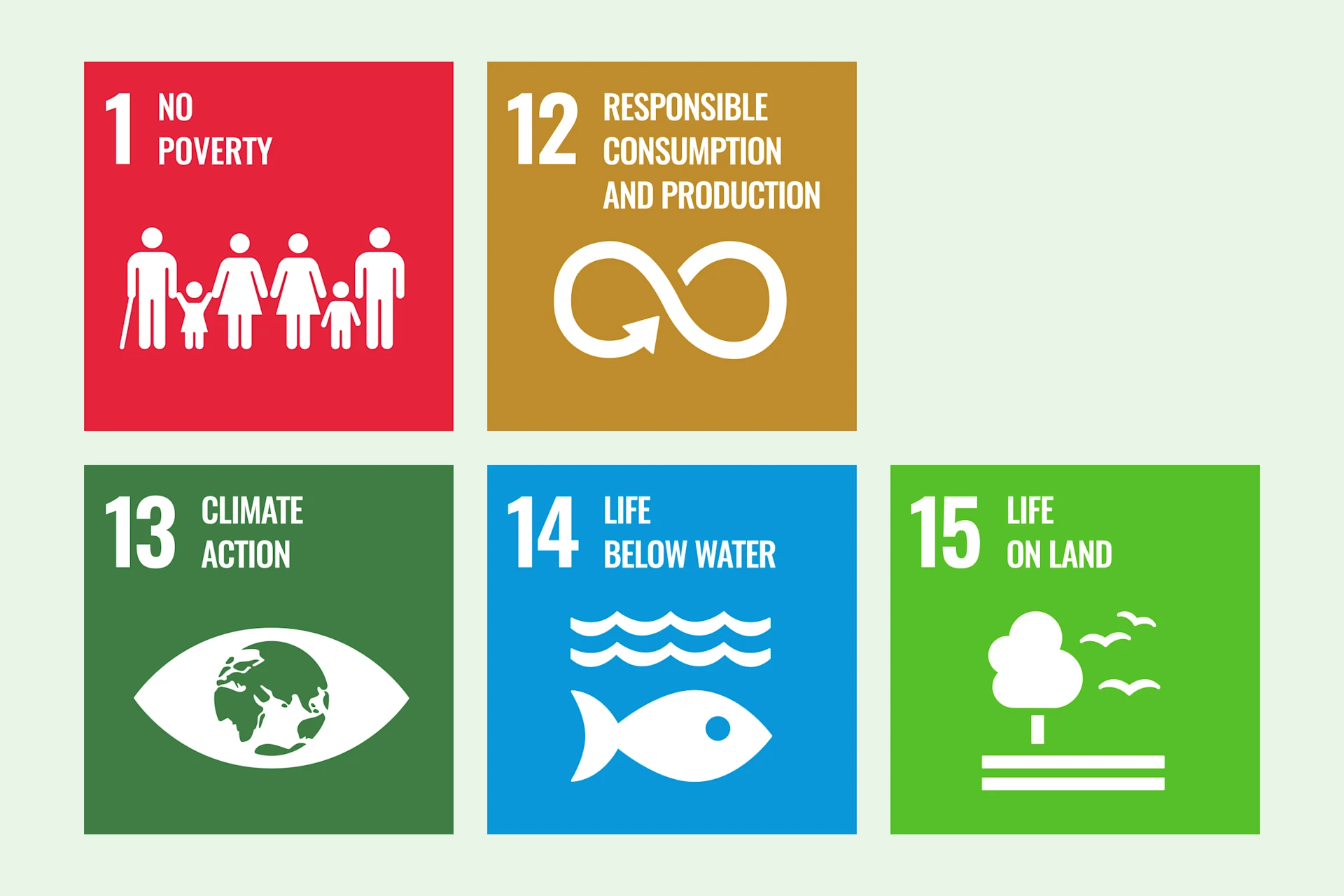 Our consumption targets pursue the SDGs 1, 12, 13, 14 and 15. Illustration of SDG 1, 12, 13, 14 und 15.