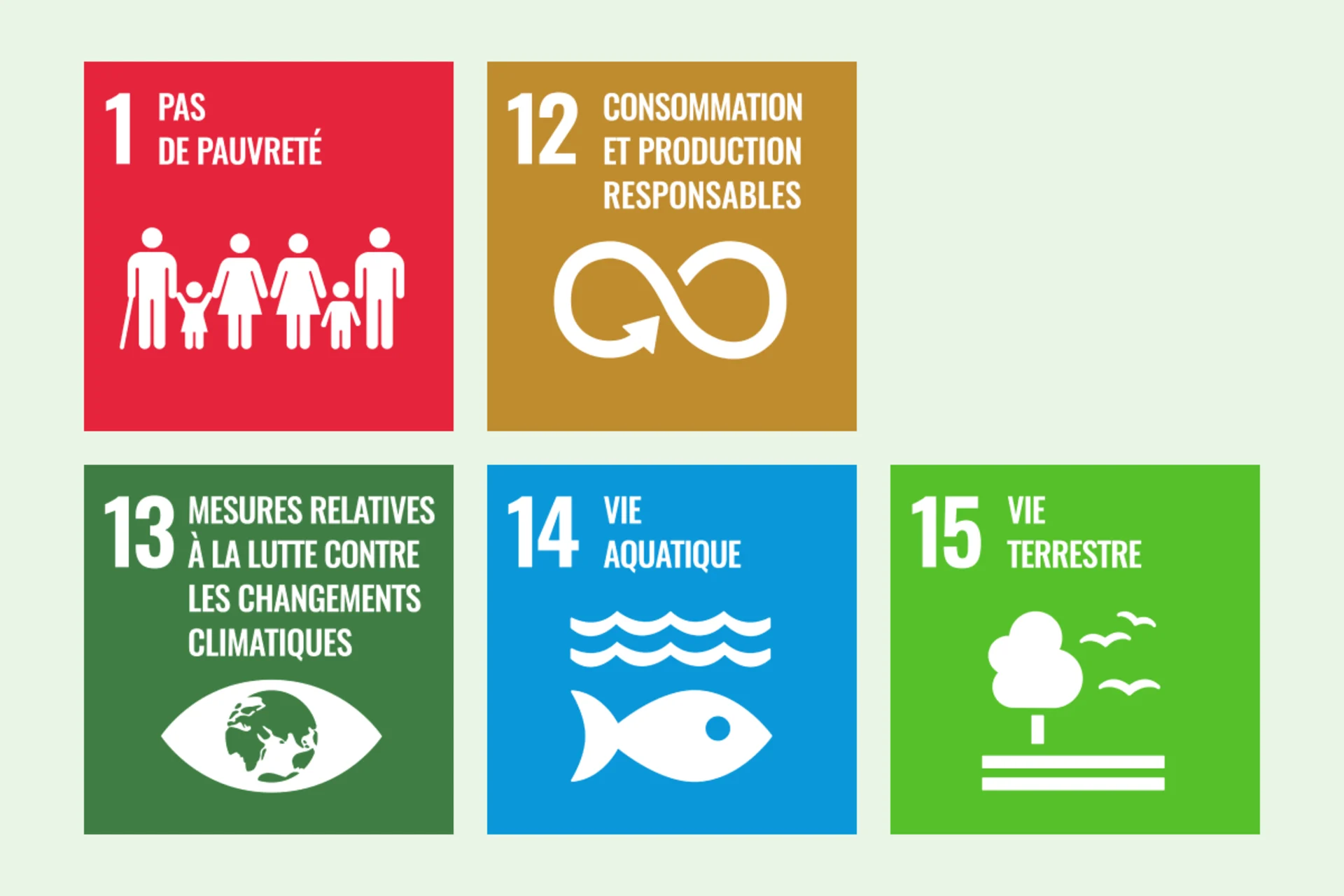 Nos objectifs de consommation suivent les SDG (ODD) 1, 12, 13, 14 et 15. Illustration de SDG (ODD) 1, 12, 13, 14 und 15.
