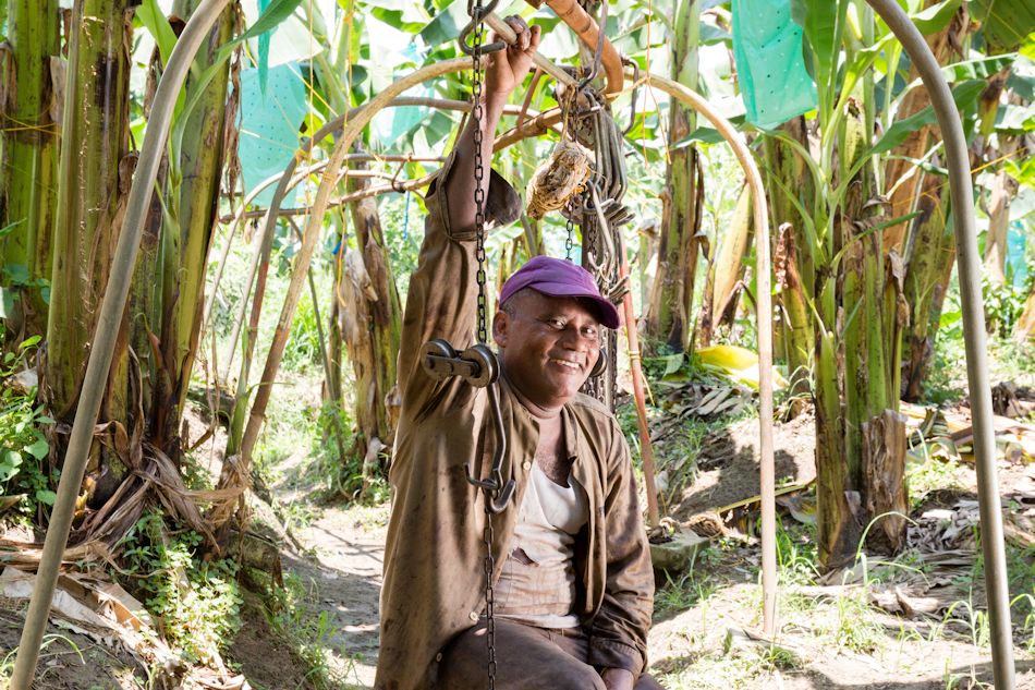 Don Fuad 2 Farm Kolumbien