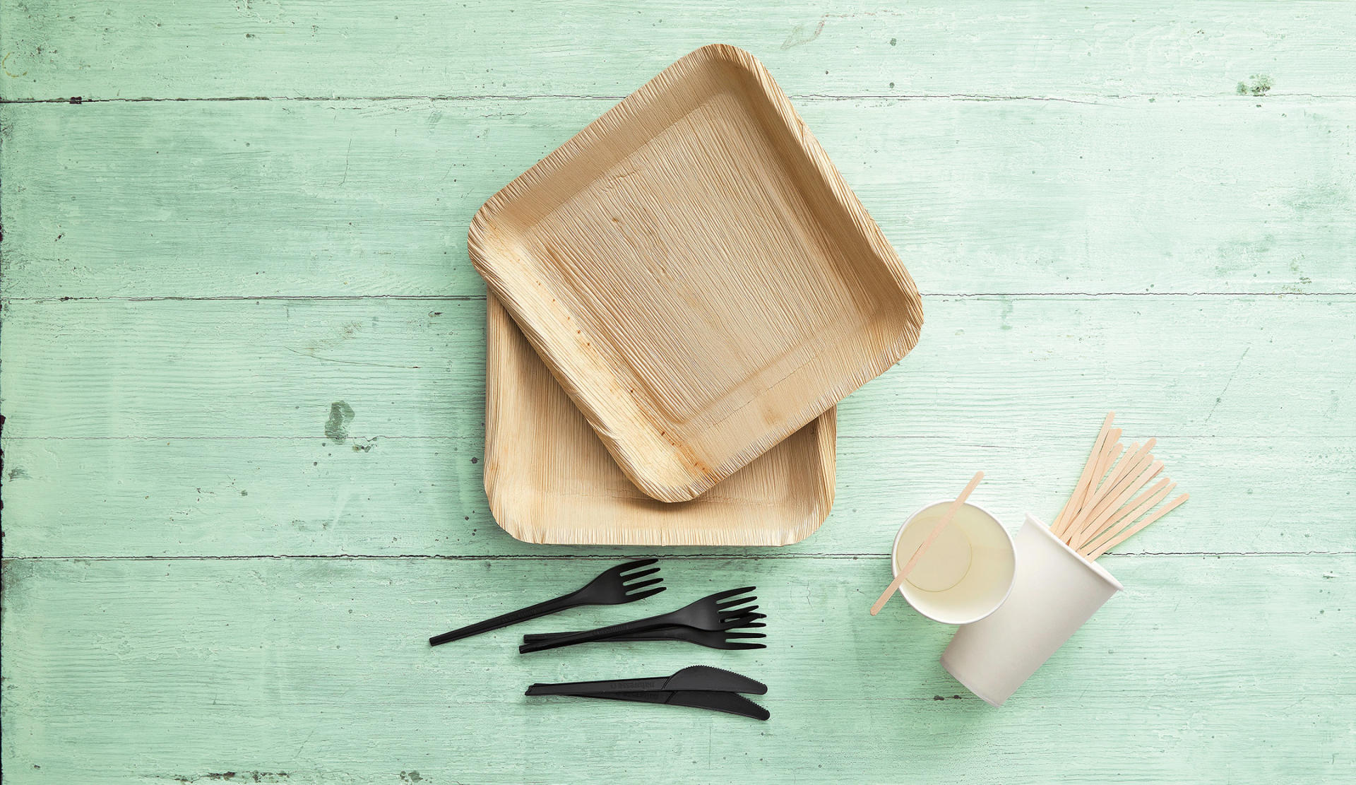 Disposable tableware and cutlery made of renewables