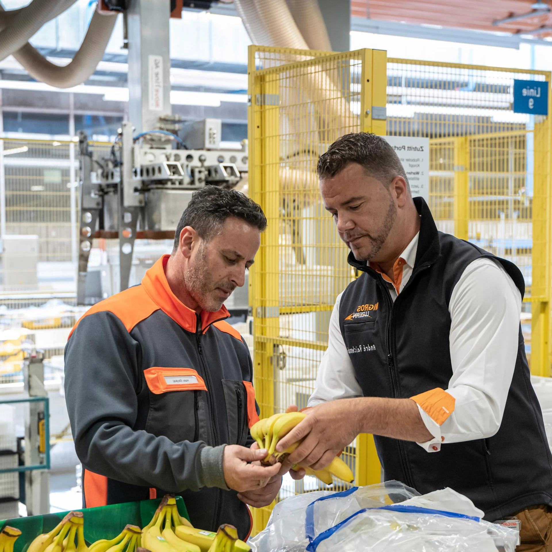Due collaboratori della Migros controllano le banane in un capannone di lavorazione.