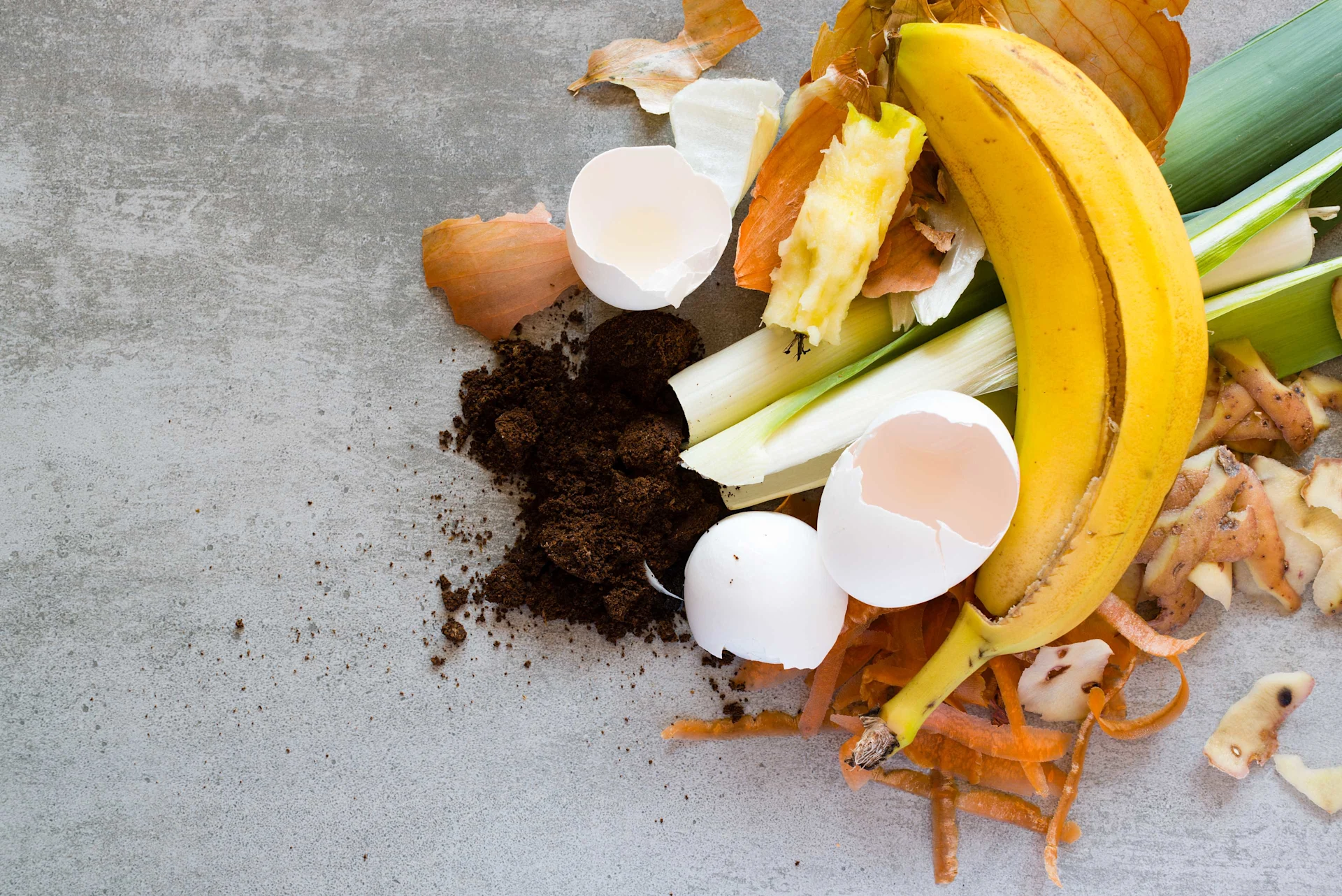 A banana peel, eggshells, carrot peels, coffee grounds and other scraps lie on top of each other.