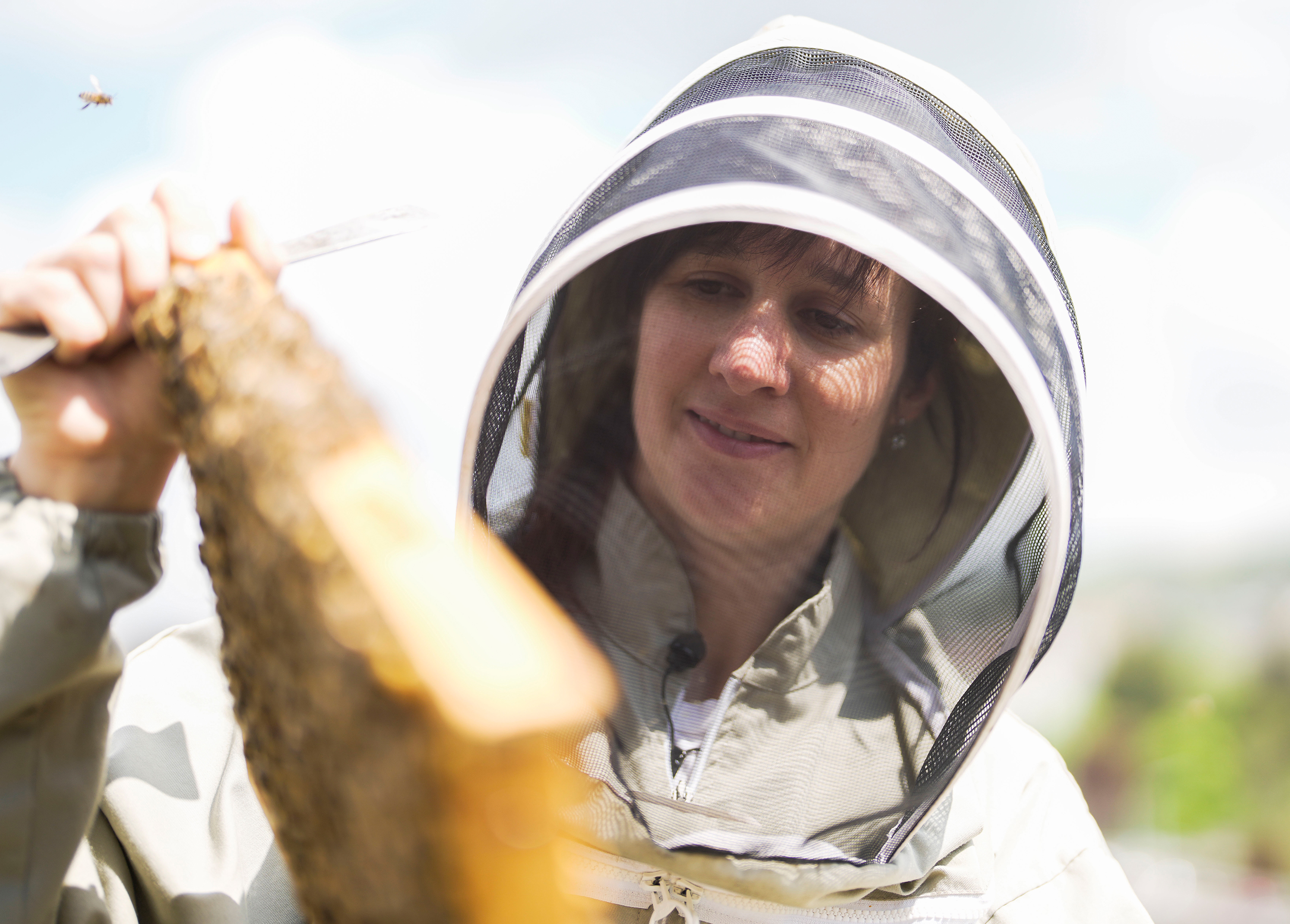 Eine Biene beobachtet Mirjam Lendenmann beim Beobachten.