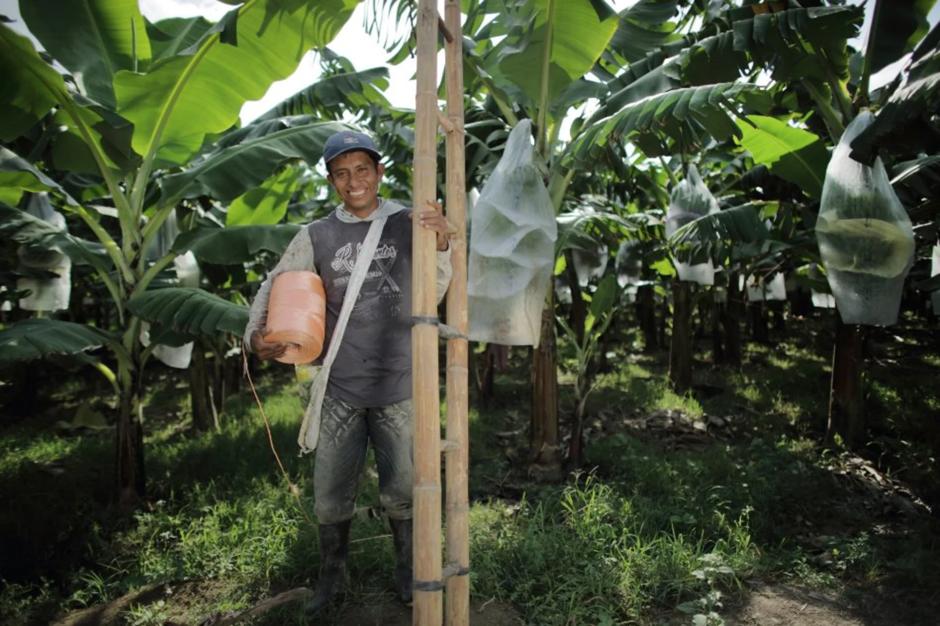 San Antonio Farm Kolumbien