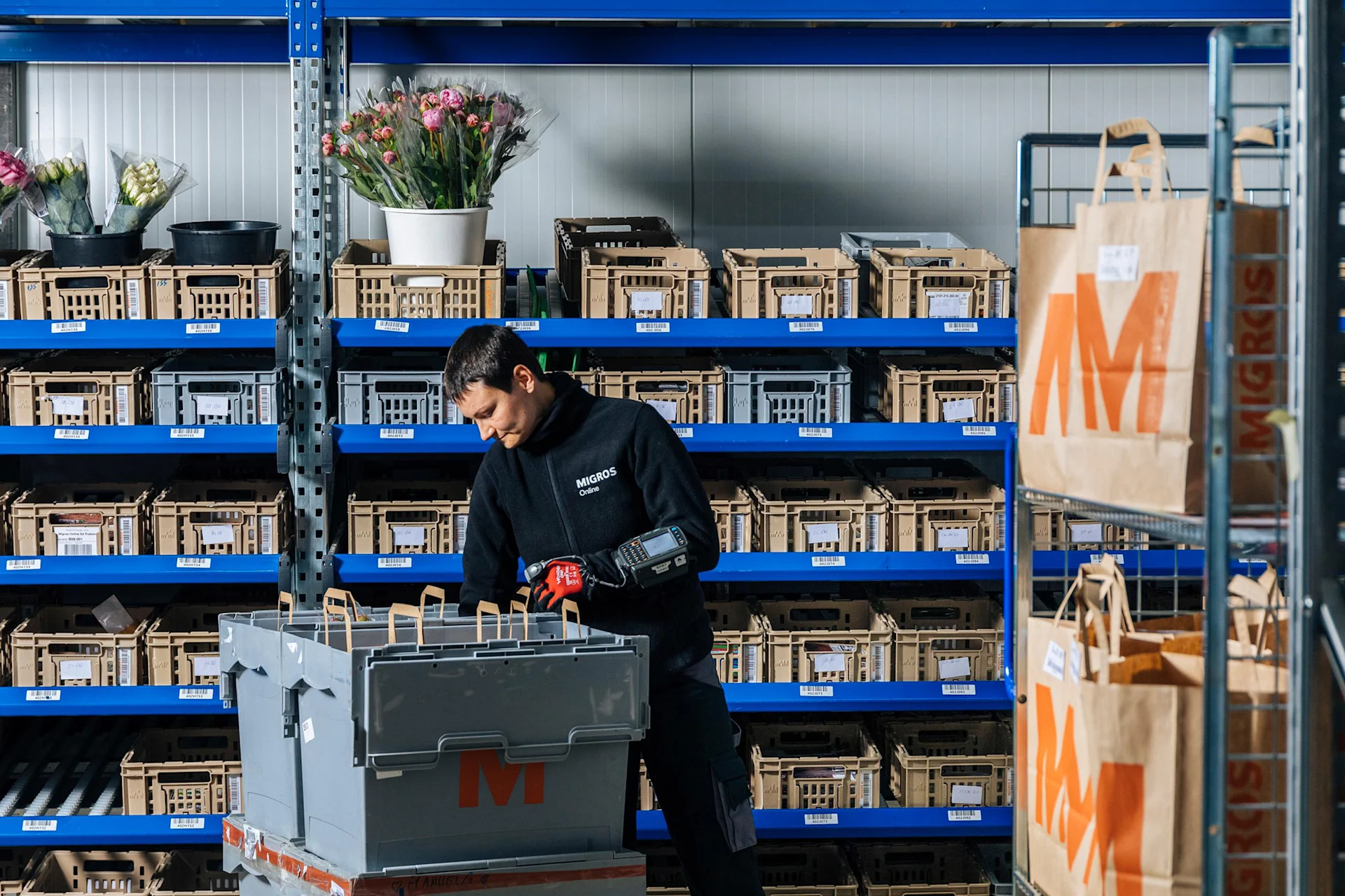 Ein Mitarbeiter von Migros Online packt Artikel in eine Einkaufsbox für die Auslierung