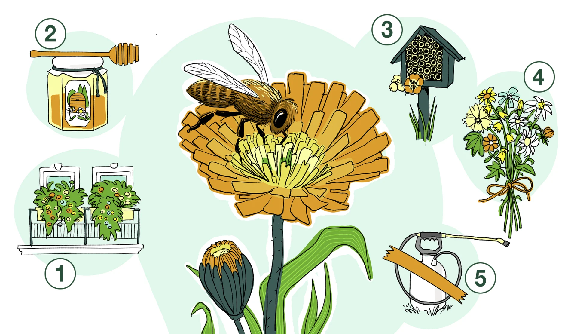 Illustration of a bee with flowers, honey and nest box