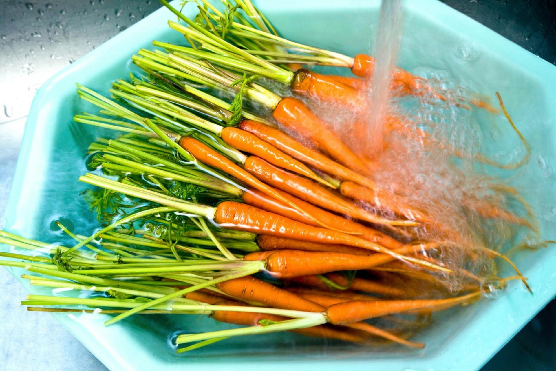 Many carrots in a sink, covered with water