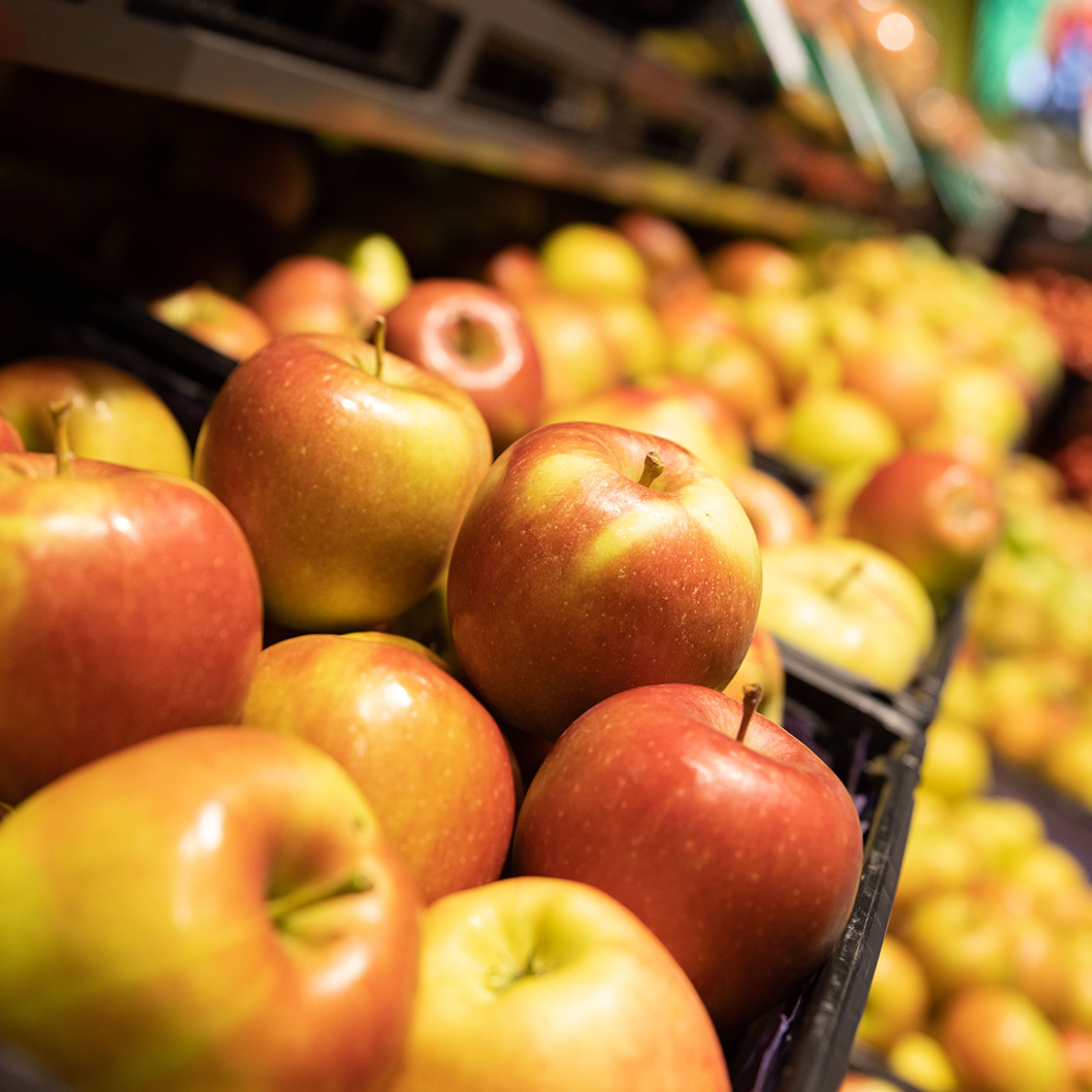 Äpfel im Früchteregal