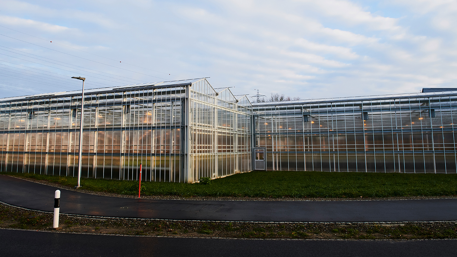 Greenhouses
