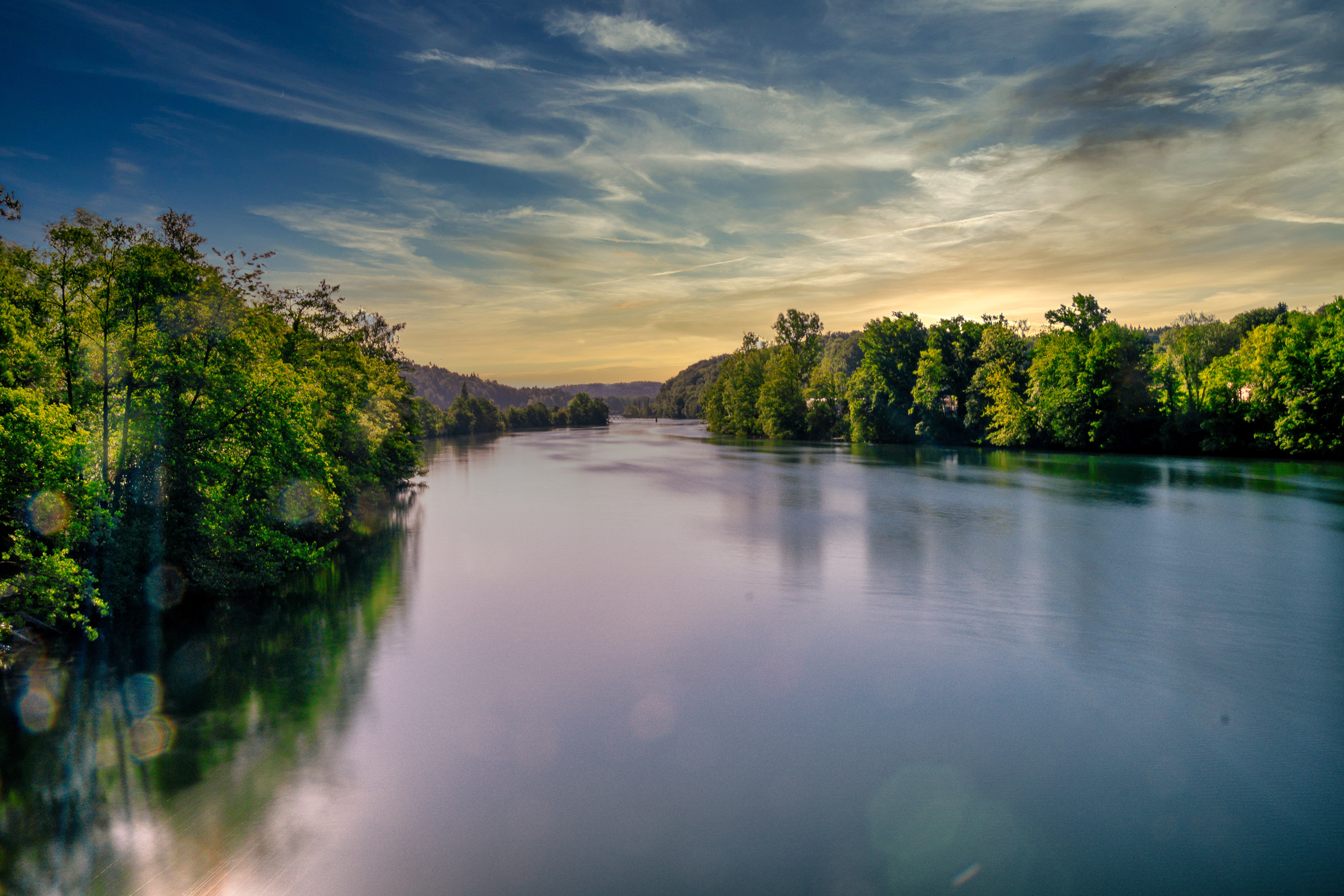Aare fliesst durch Baumlandschaft