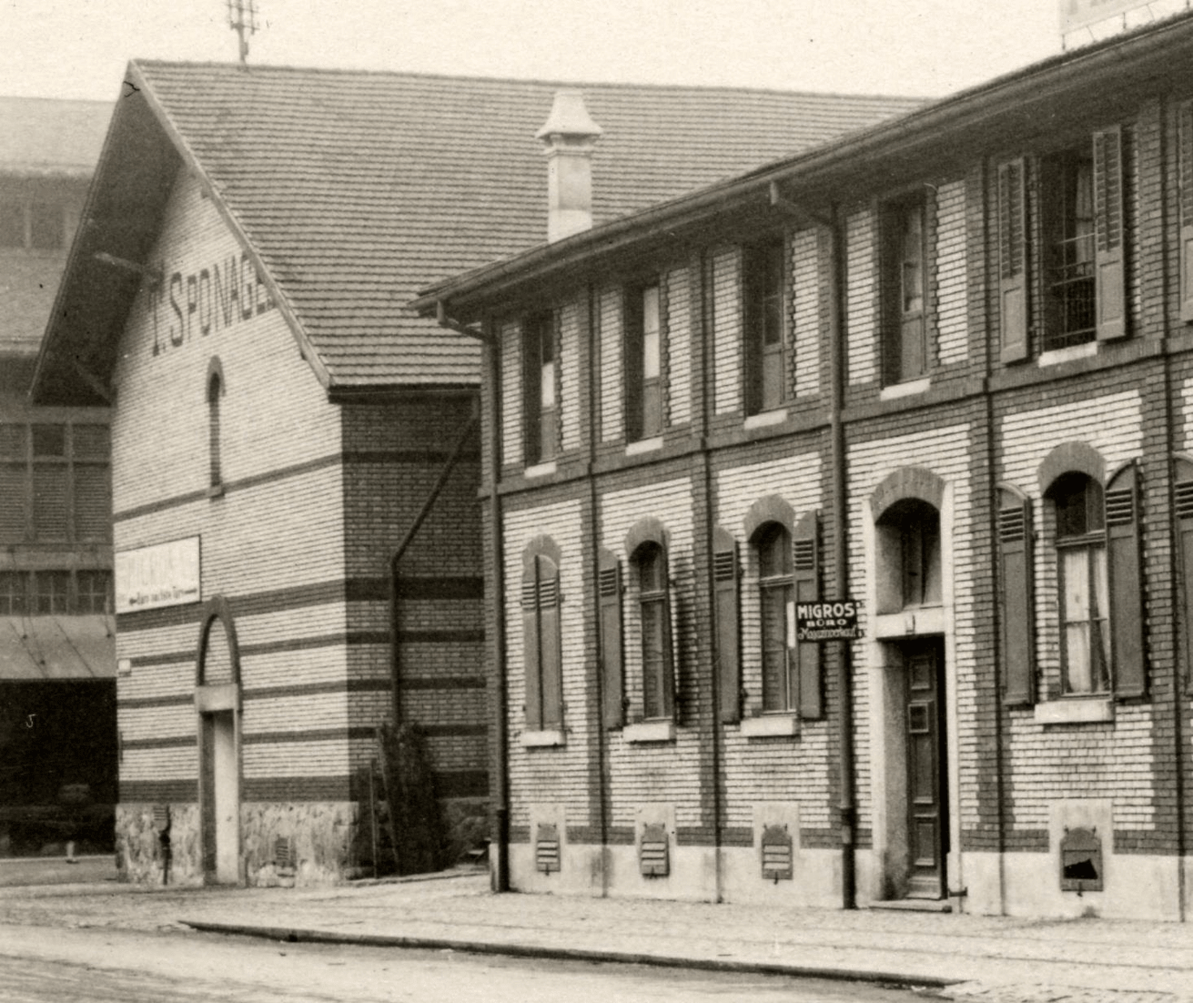 03_DMP_000619_Detail