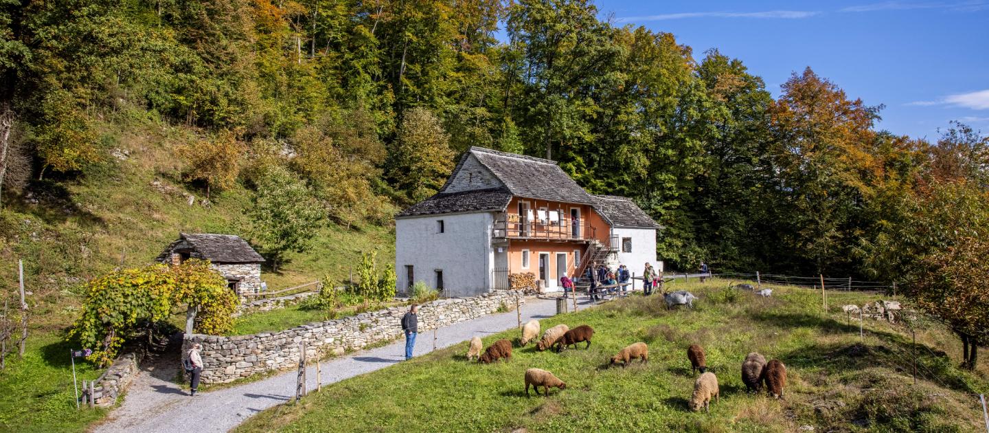 Le sentier thématique «Sur les routes du monde» au Musée de l’habitat rural Ballenberg
