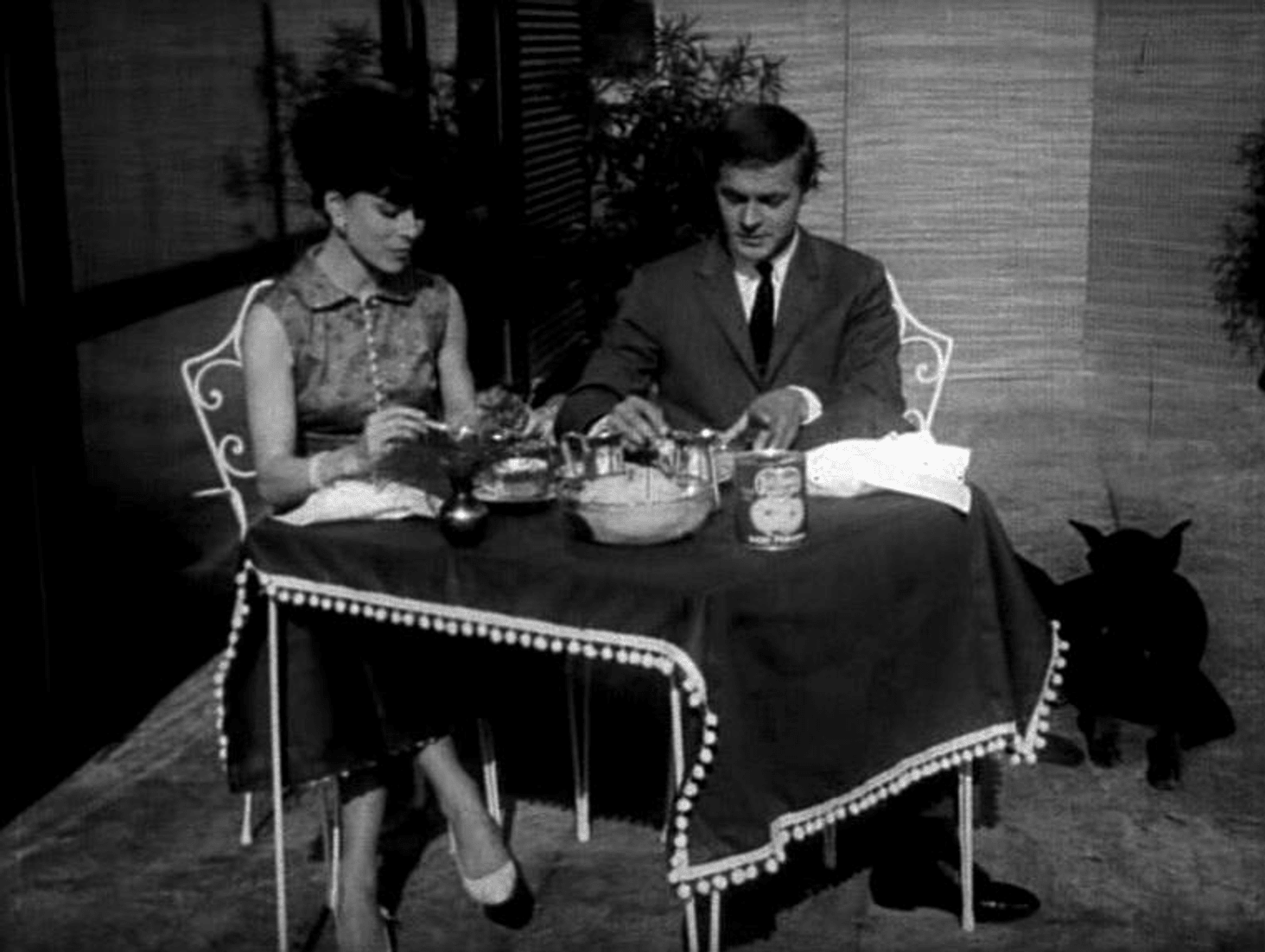 06_Del-Monte-Spot-V00500