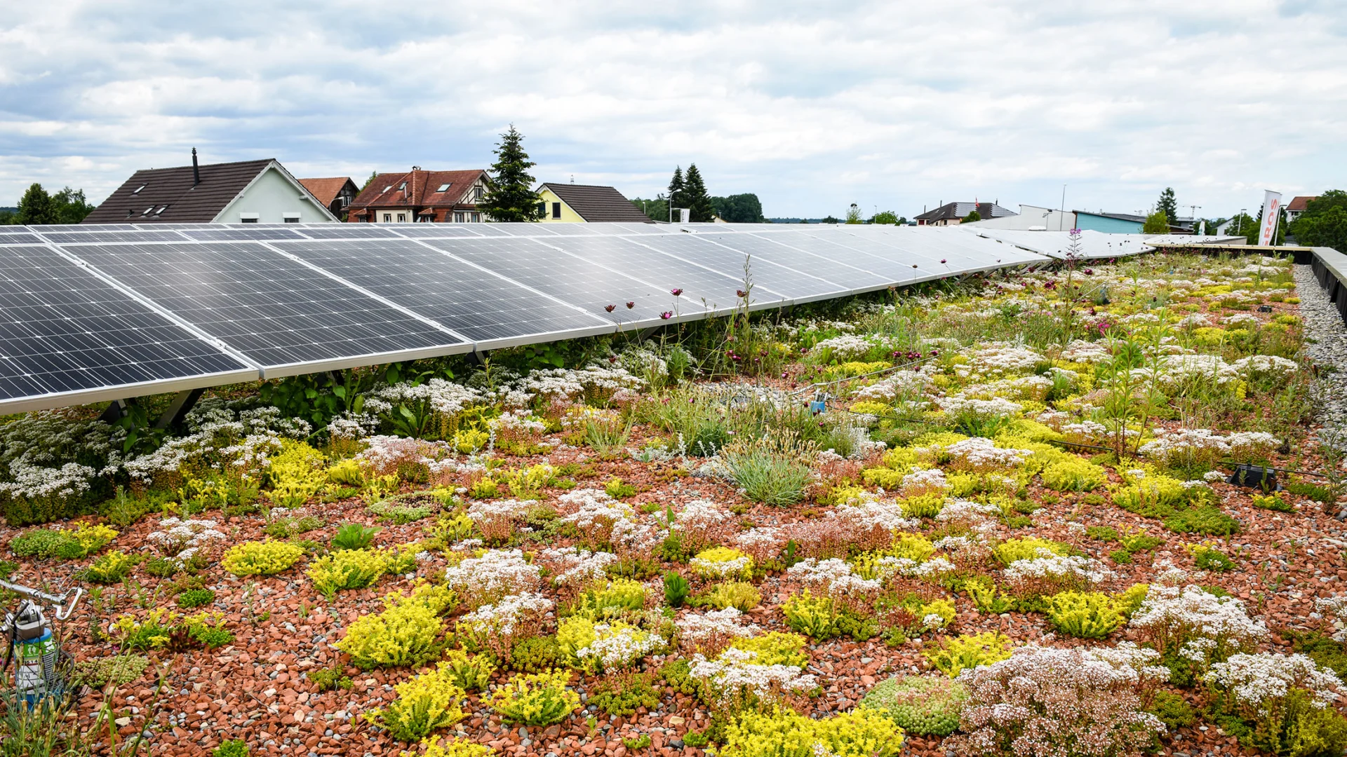 Solarpanels auf dem Dach einer Migros-Filiale liefert erneuerbare Energie.