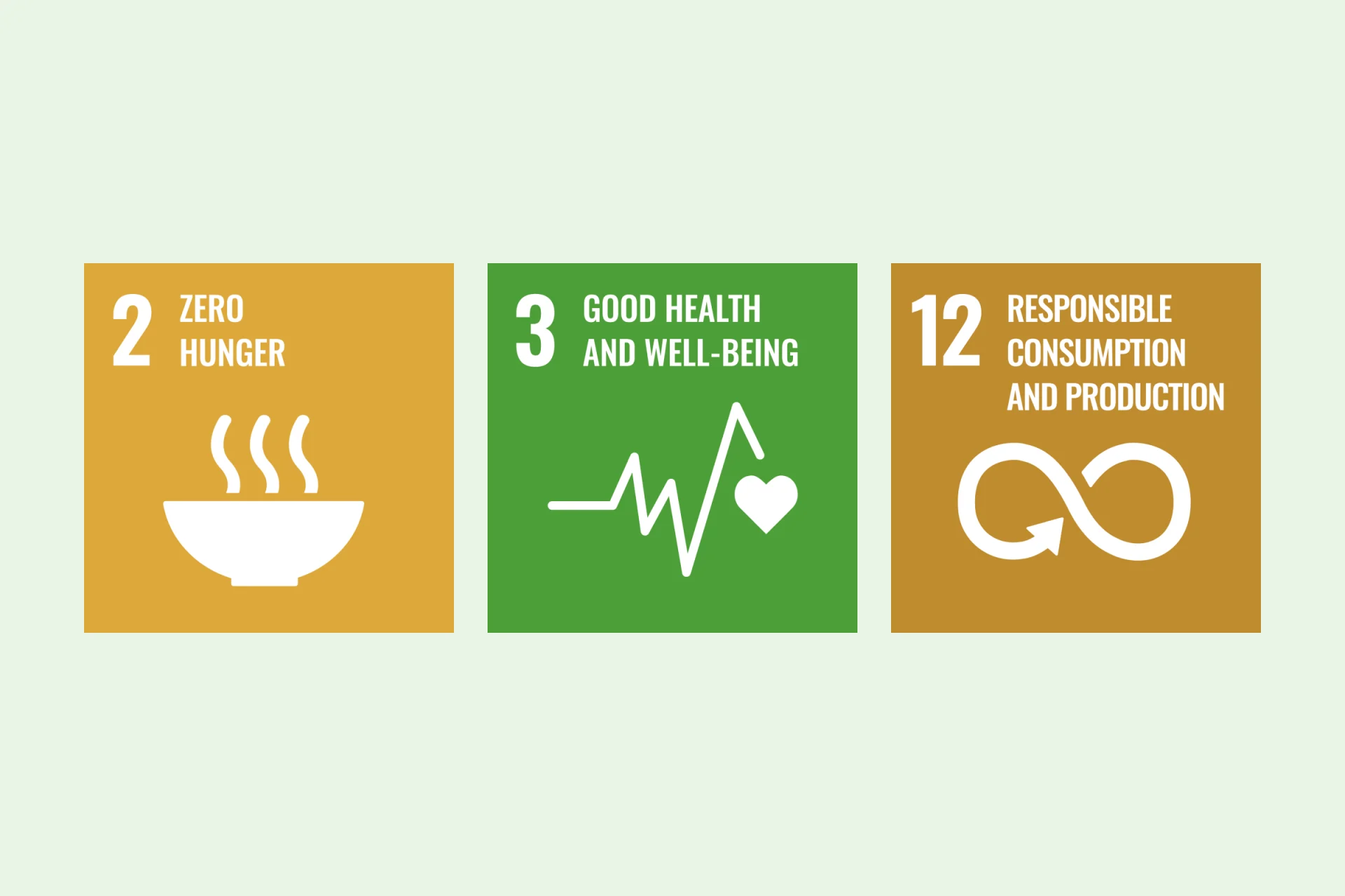 Infographic SDGs 2, 3, 12
