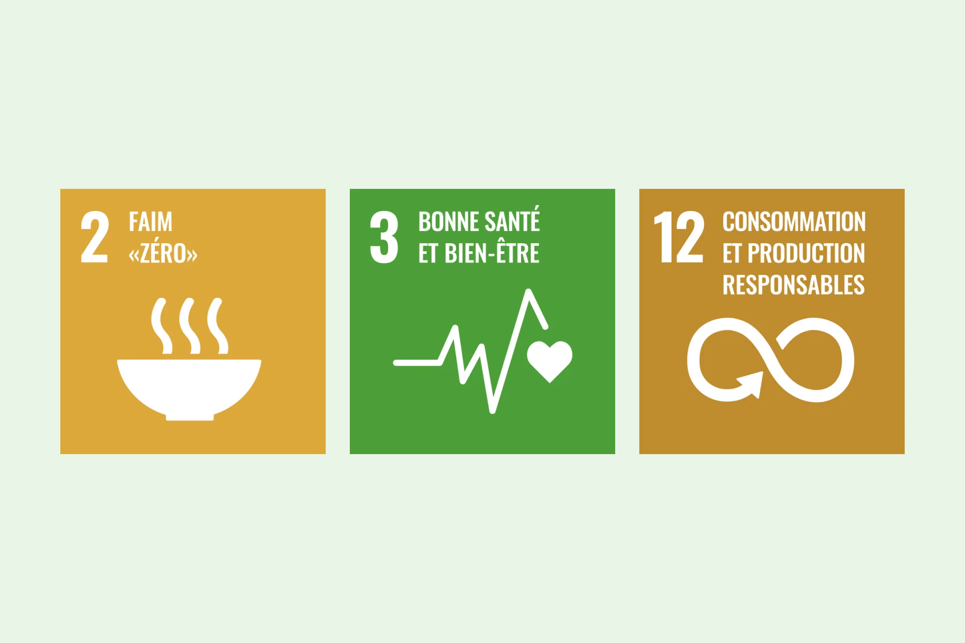 Infographie SDGs 2, 3, 12