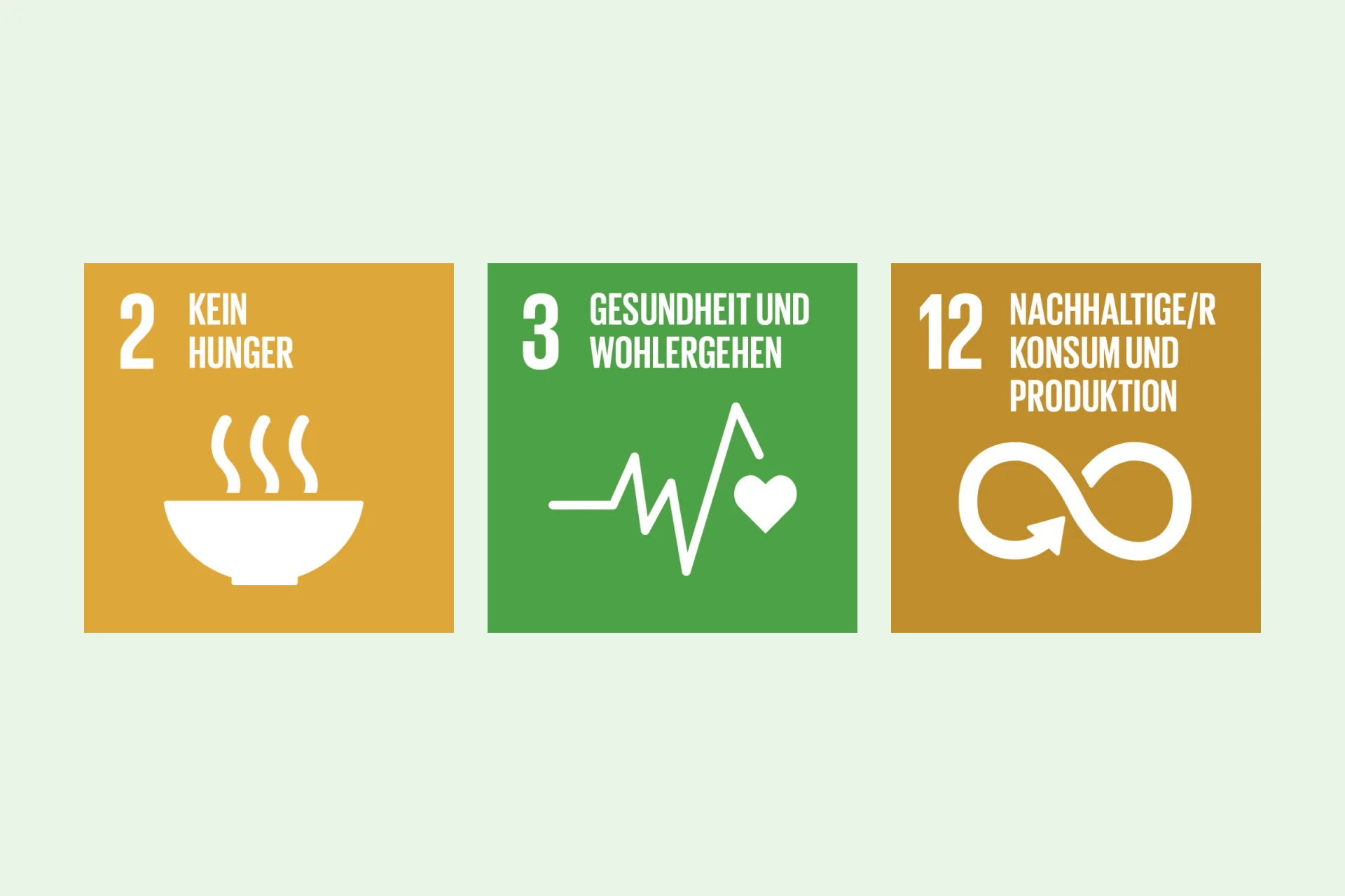 Infografik SDGs 2, 3, 12