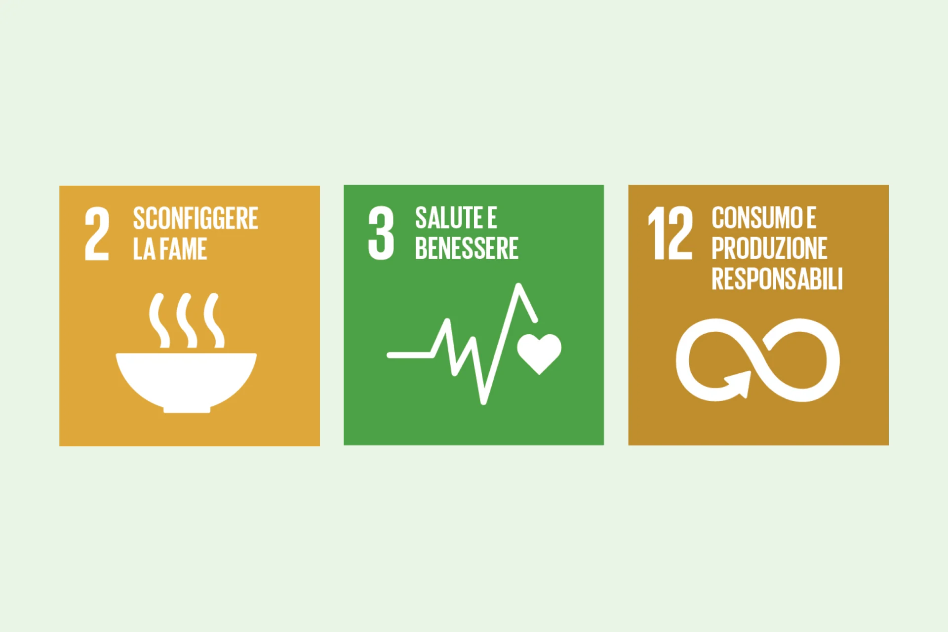 Infografica SDGs 2, 3, 12