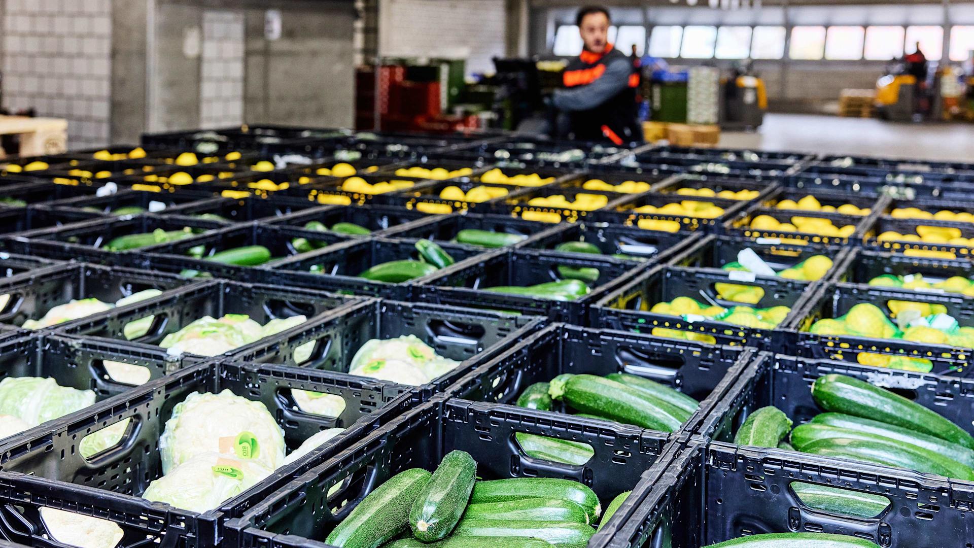 Fresh vegetables are ready for transport in crates