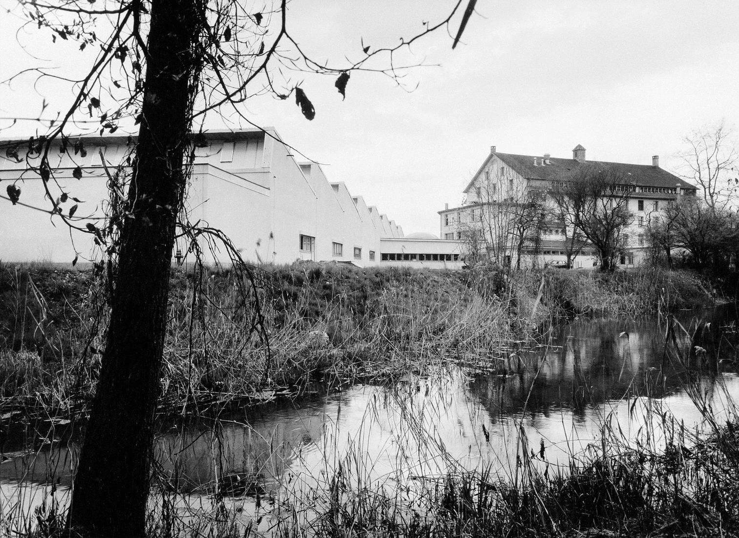 3-chocolat-frey-ca-1962