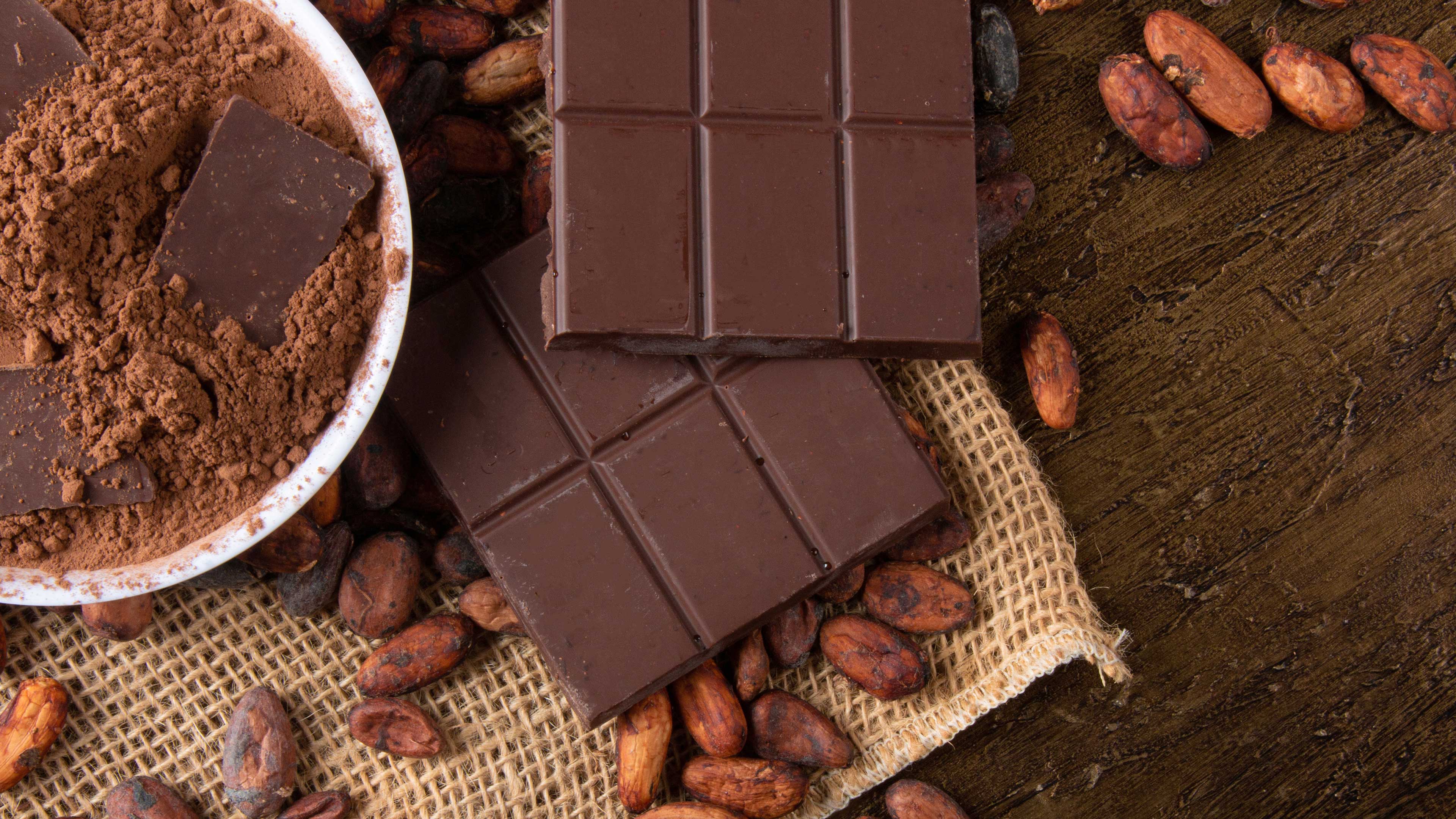 Cocoa in every form: Cocoa beans, cocoa powder and dark block chocolate