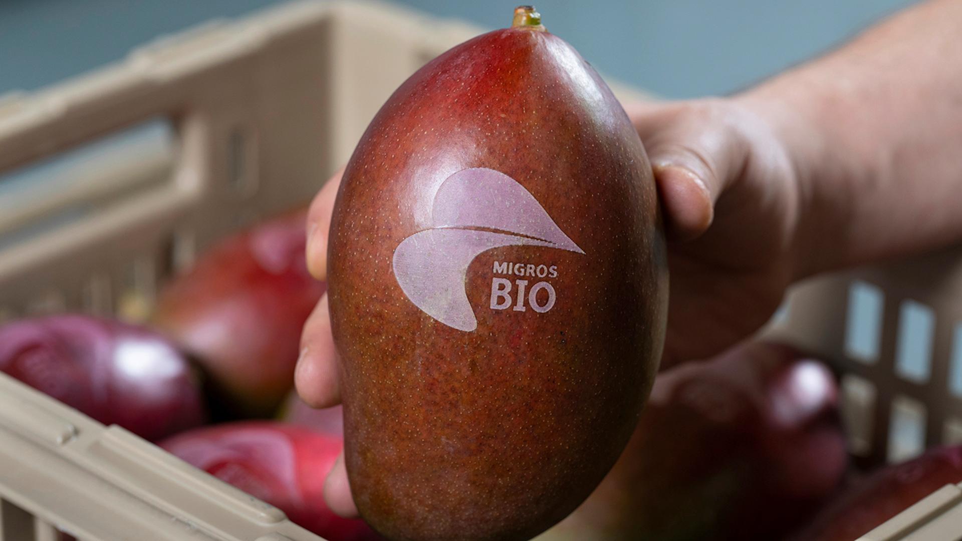 Une main tient une mangue sur laquelle a été gravé au laser «Migros Bio».