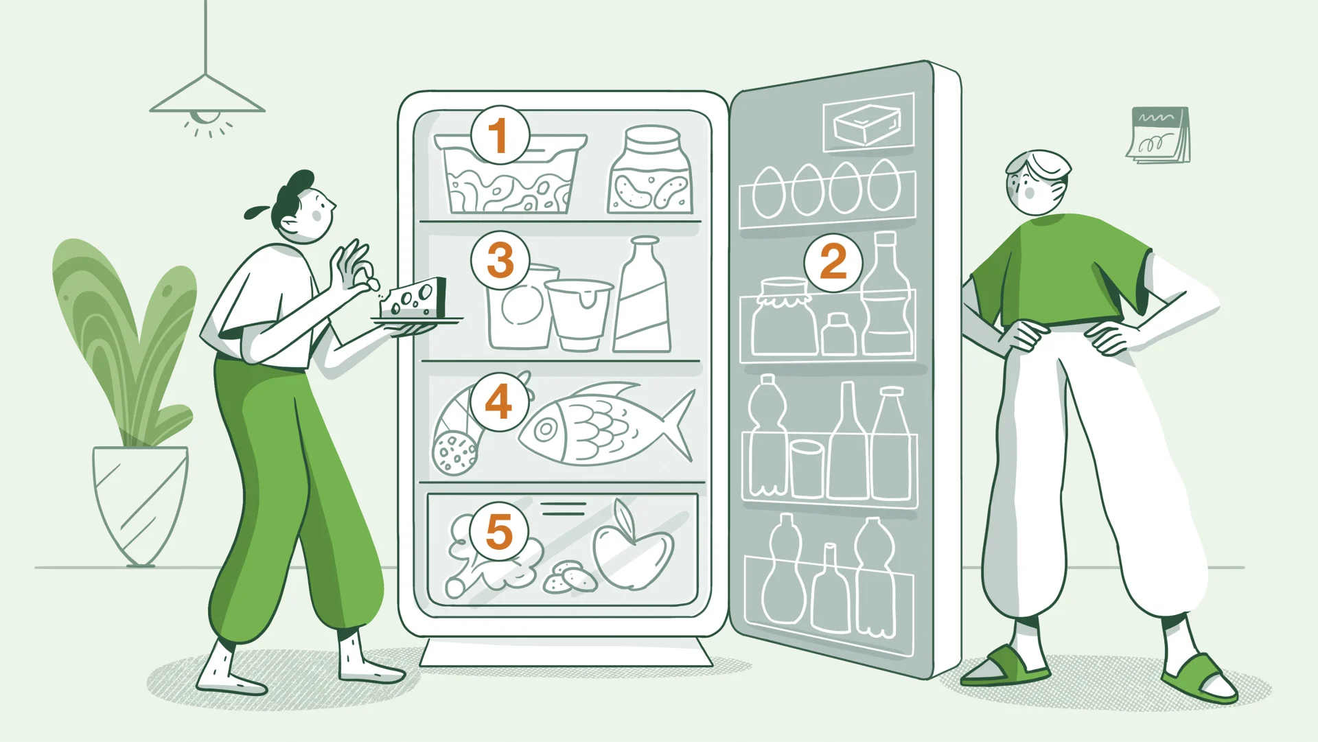 Illustration eines Kühlschrankes mit Nummerierung