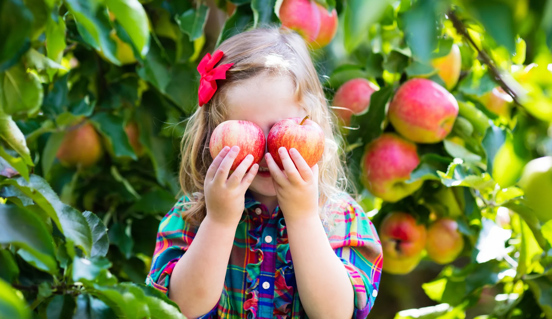 Una ragazza tiene due mele davanti al viso.