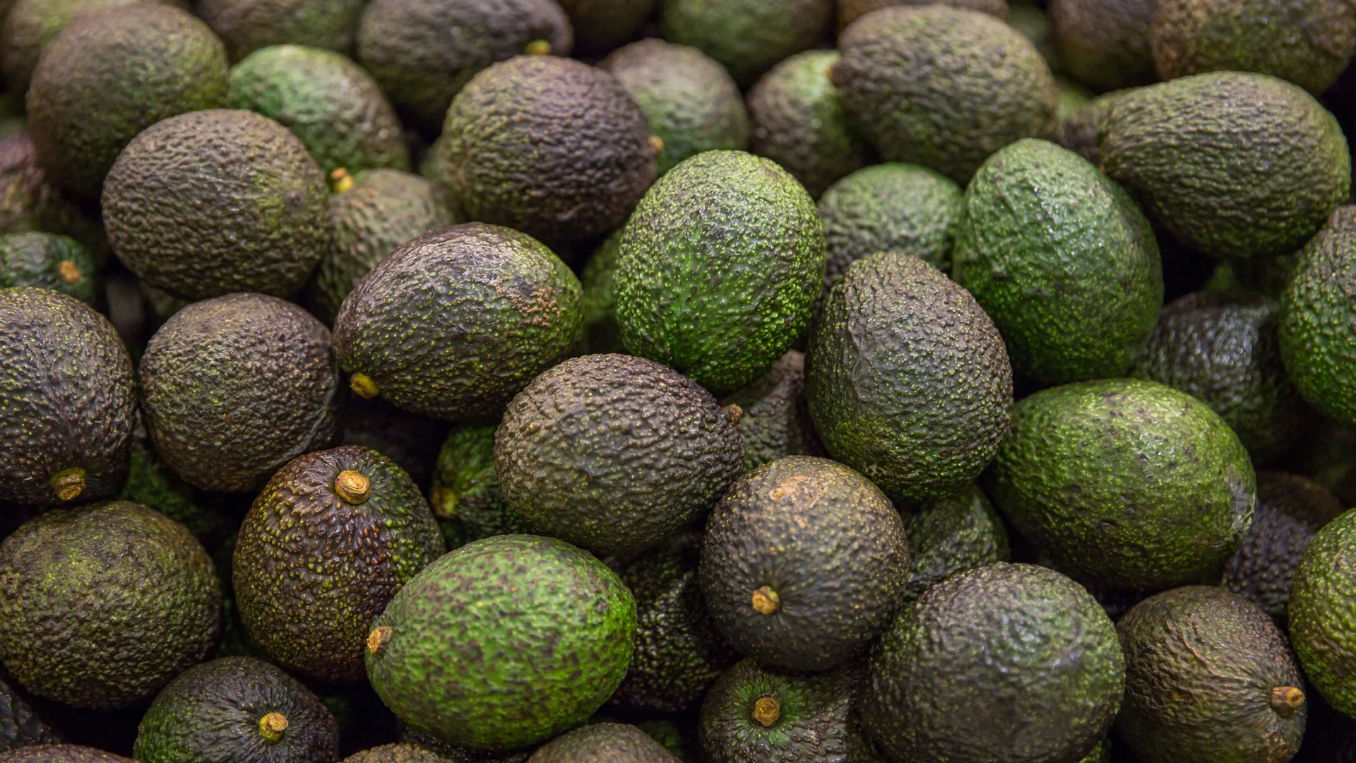 apeel-avocado-header