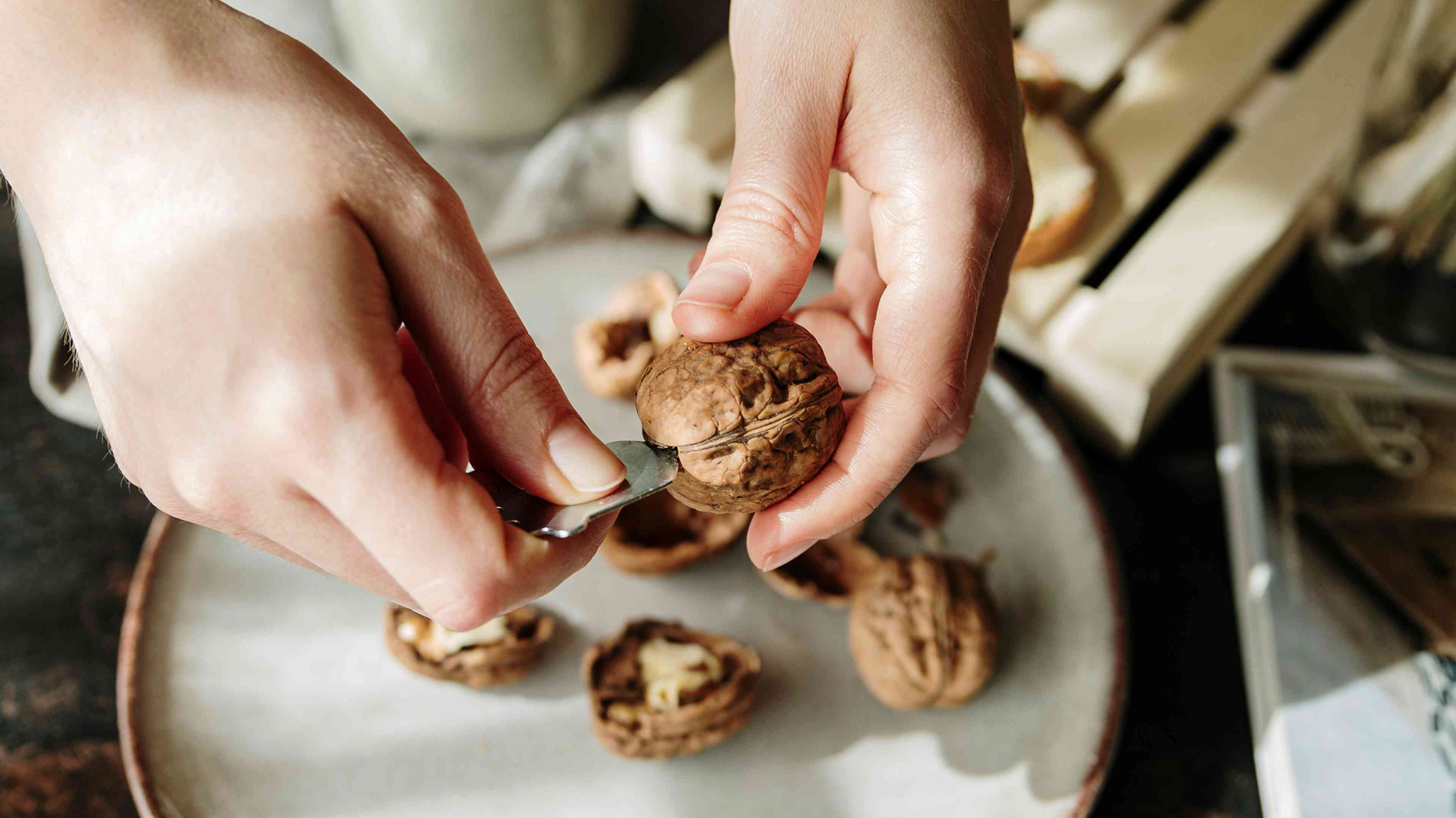 Baumnuss ohne Knacker öffnen